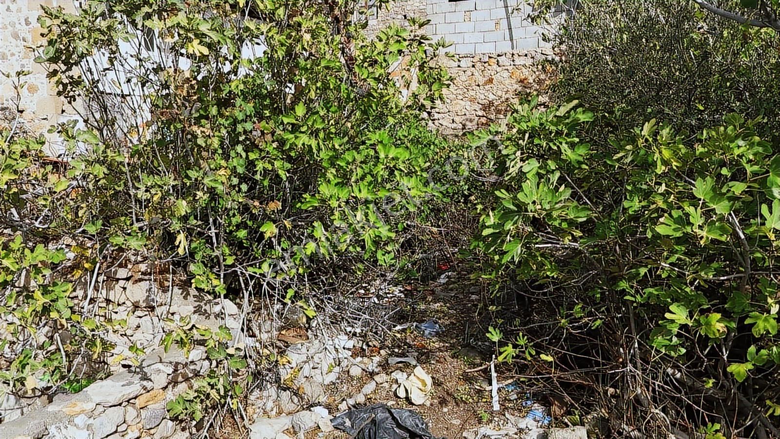 Bergama Karalar Köyünde Merkezde Köyiçi Arsa - Görsel 11