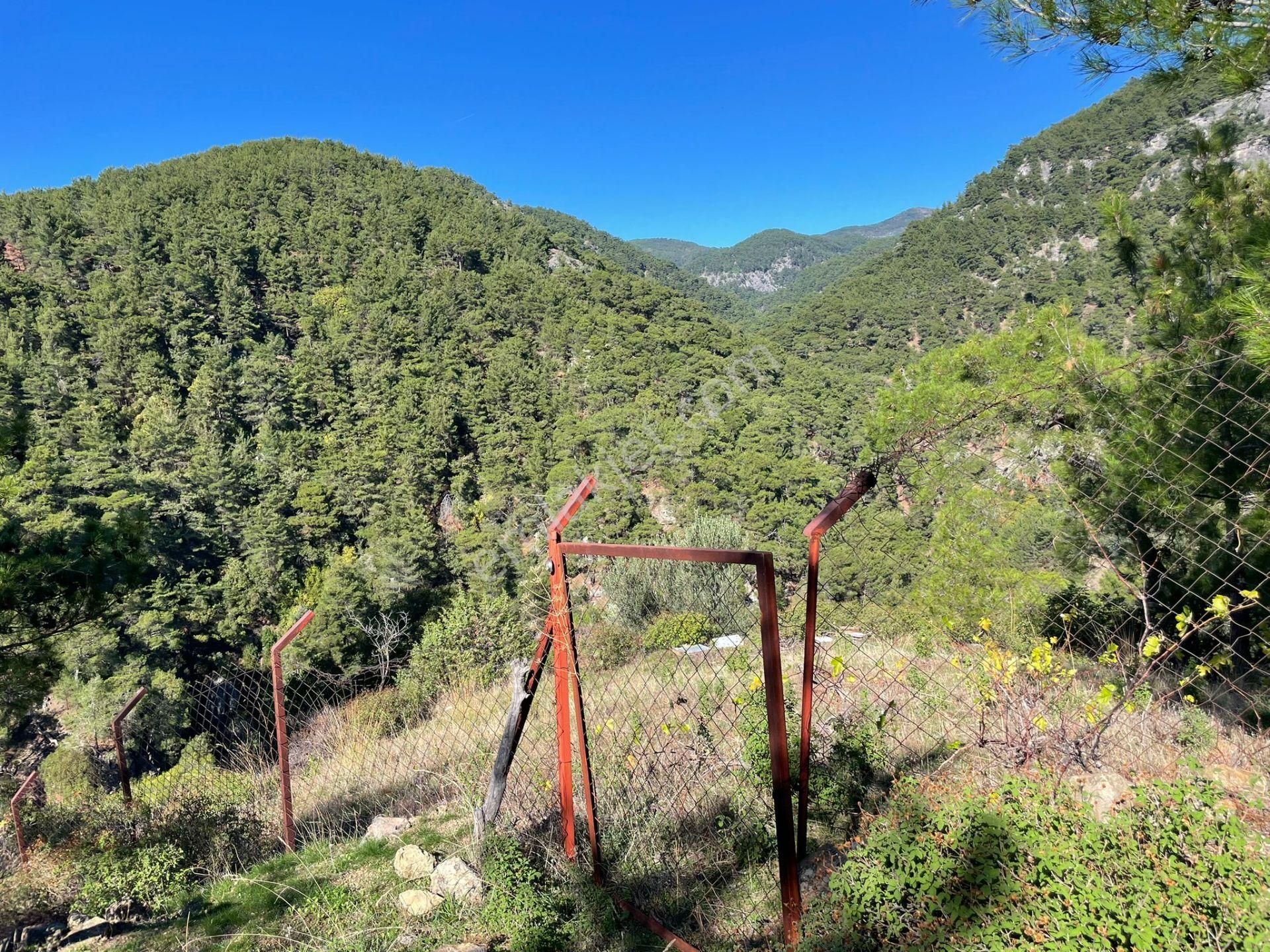 Altınoluk Doyran Köyü’nde 4.463 M² Satılık Zeytinlik - Görsel 12