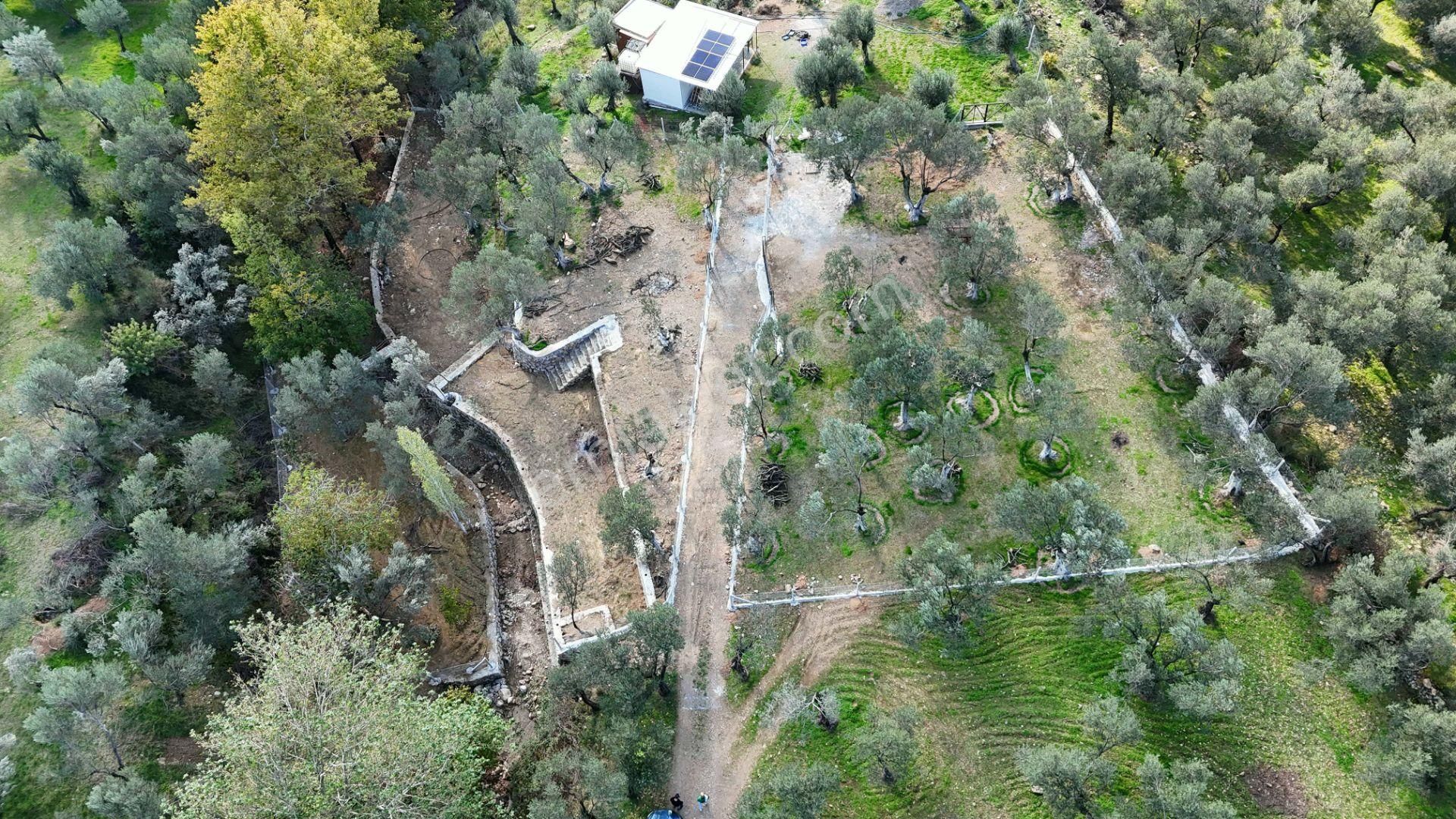 Zeytinli'de Akarsuya 140mt, Yolu Mevcut, Kamplar Bölgesi Fırsat - Görsel 11
