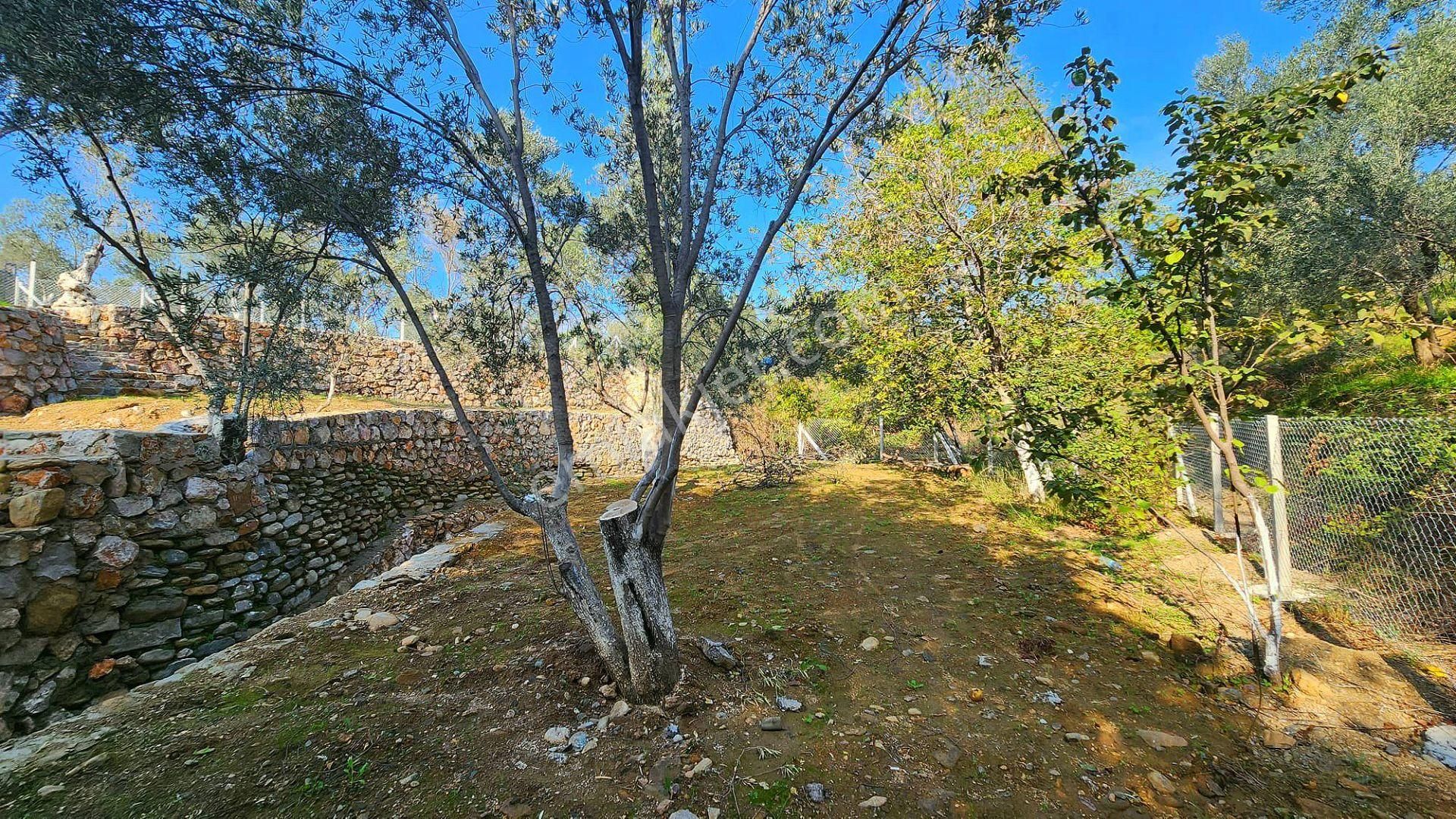Zeytinli'de Akarsuya 140mt, Yolu Mevcut, Kamplar Bölgesi Fırsat - Görsel 20