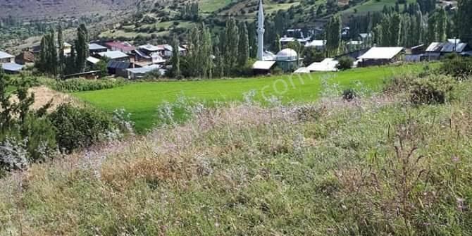 Kızılköy'de 318 M2 Tarımsal Satılık Tarla