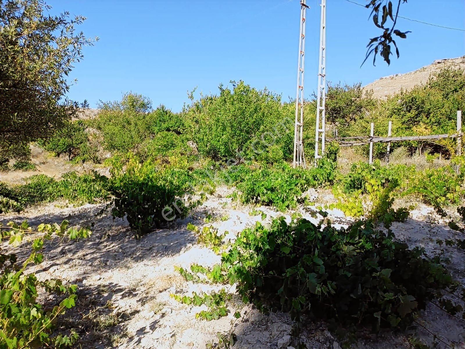 Ankara Yolu Süksün'de 4375 M2 Satılık Evli Tarla - Görsel 4