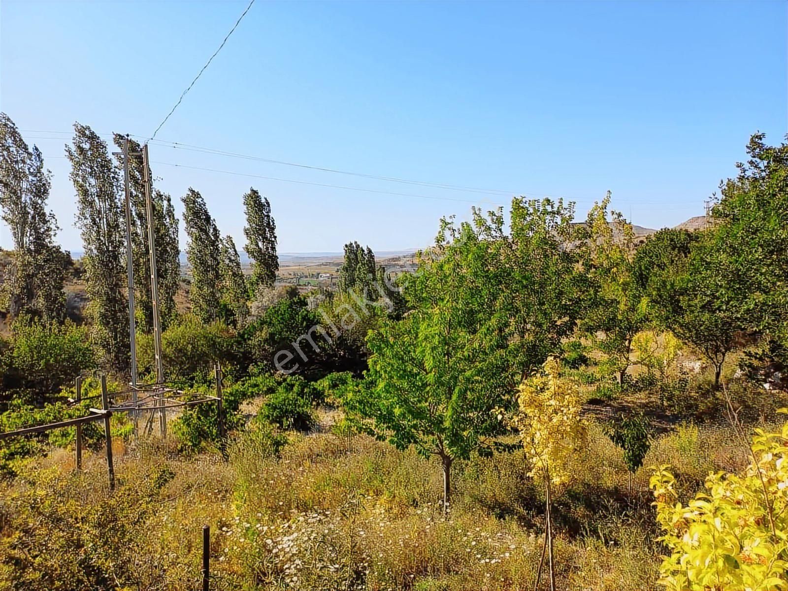 Ankara Yolu Süksün'de 4375 M2 Satılık Evli Tarla - Görsel 10