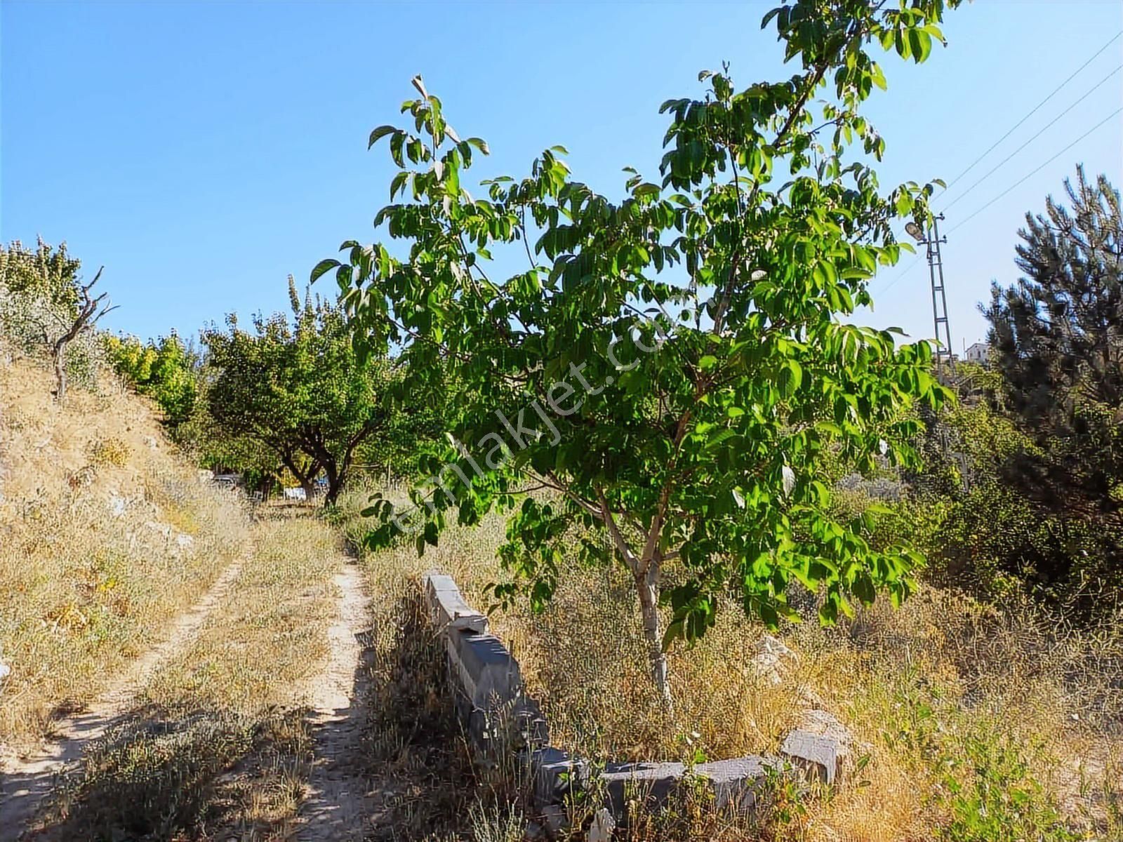 Ankara Yolu Süksün'de 4375 M2 Satılık Evli Tarla - Görsel 13