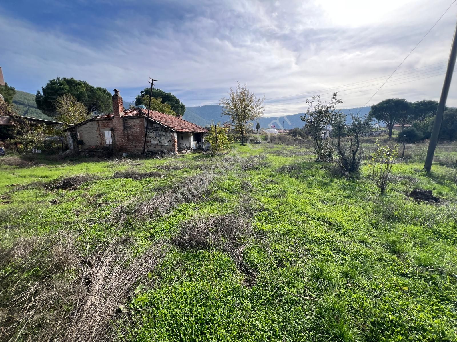 Pehlevanlar'dan Milas Tuzabat'ta Anayola Sıfır 800m2 İmarlı Arsa - Görsel 15