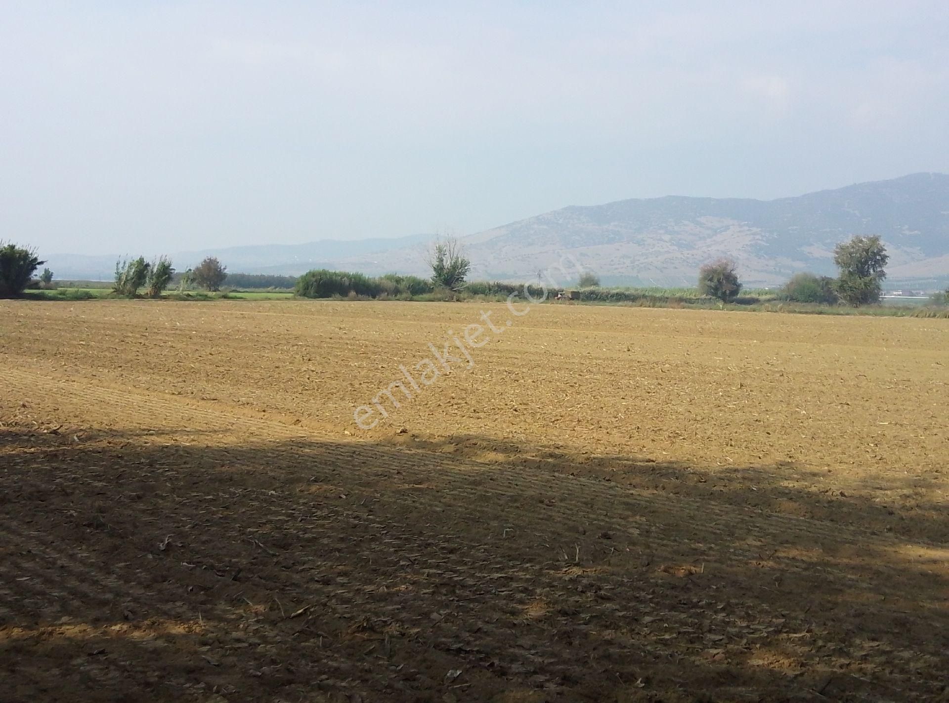 Tire Kahrat Mahalles Verimli Tarlai - Görsel 8