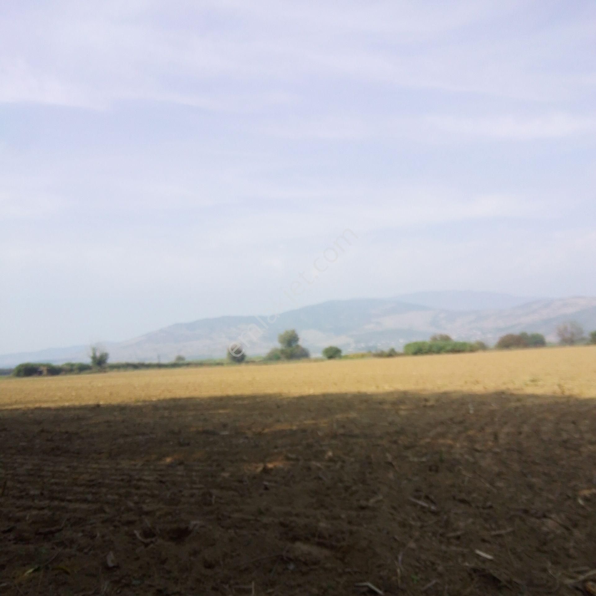 Tire Kahrat Mahalles Verimli Tarlai - Görsel 3