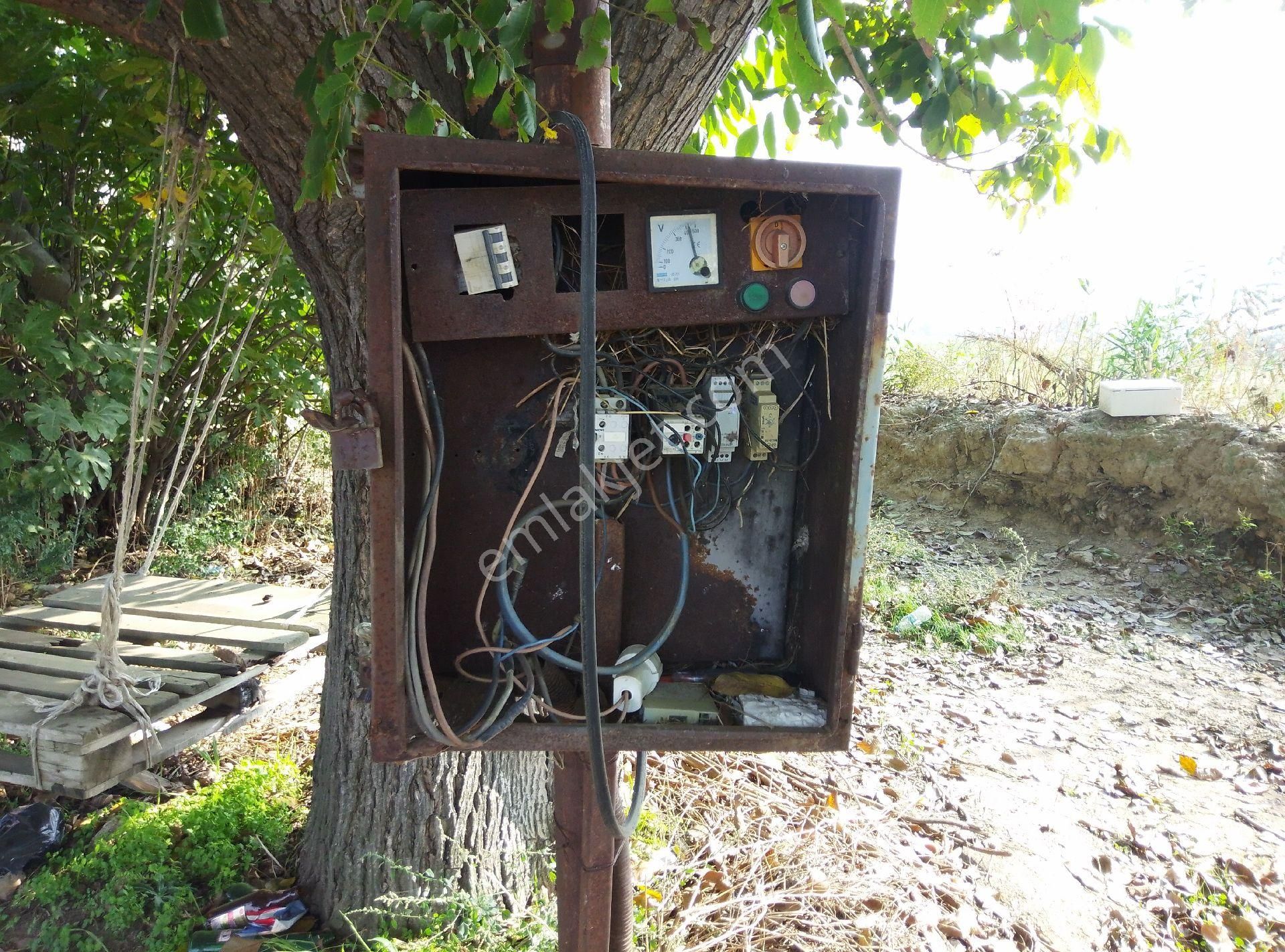 Tire Kahrat Mahalles Verimli Tarlai - Görsel 12