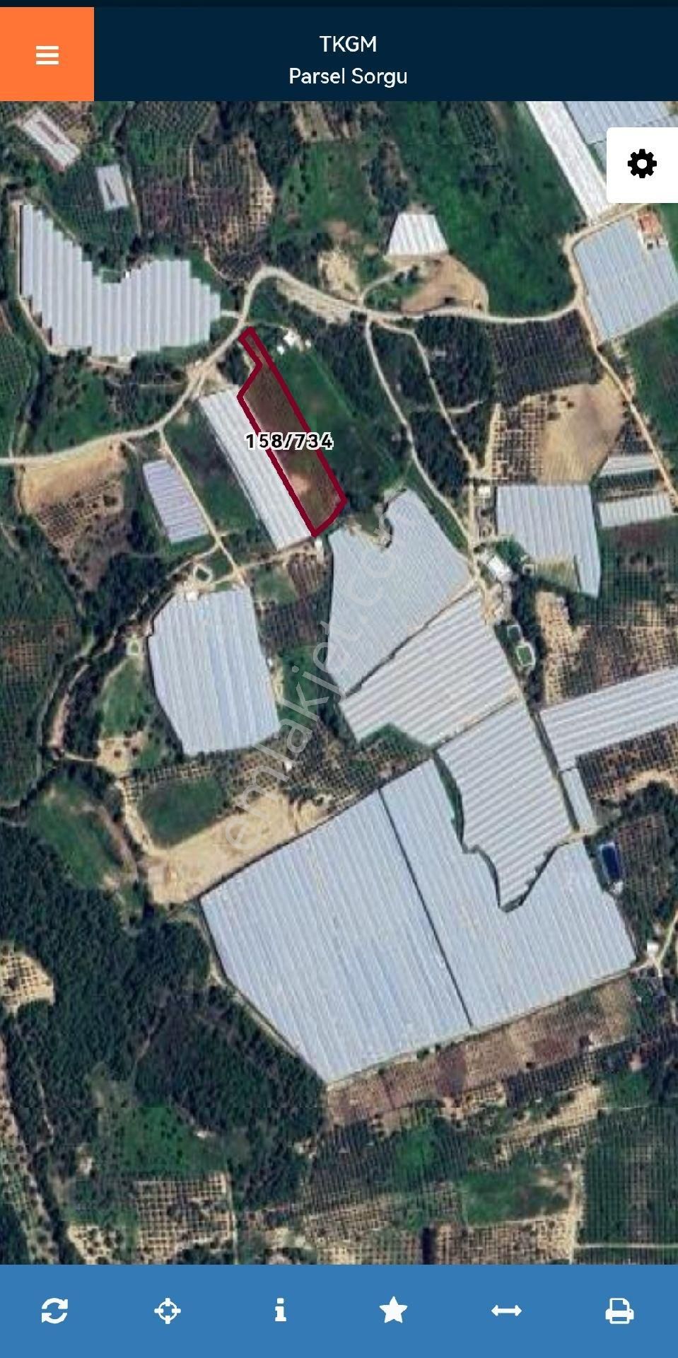 Antalya Manavgat Hocalar Fırsatı Kaçırma Acil Satılık Zeytin Bahçesi+tarla - Görsel 4