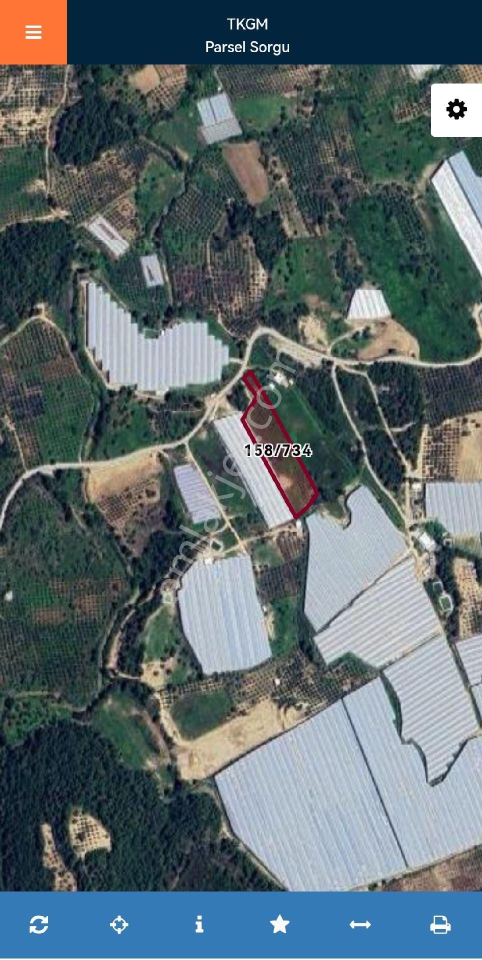 Antalya Manavgat Hocalar Fırsatı Kaçırma Acil Satılık Zeytin Bahçesi+tarla - Görsel 3