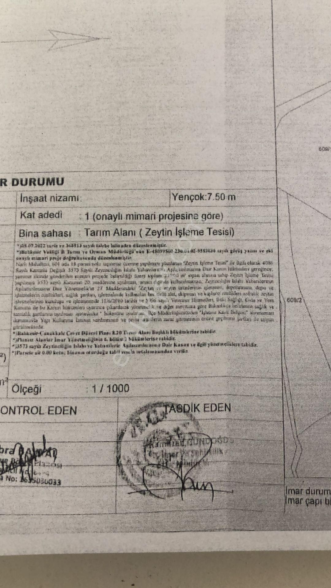 Altınoluk İlkbahar'dan Narlı Altında 230m2 Yapı Ruhsatı Alınmış 6 Dönüm Fırsat Zeytinlik - Görsel 5
