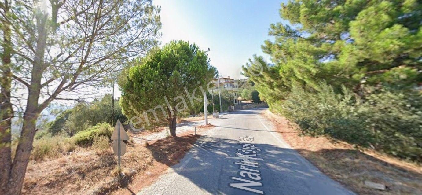 Altınoluk İlkbahar'dan Narlı Altında 230m2 Yapı Ruhsatı Alınmış 6 Dönüm Fırsat Zeytinlik - Görsel 3
