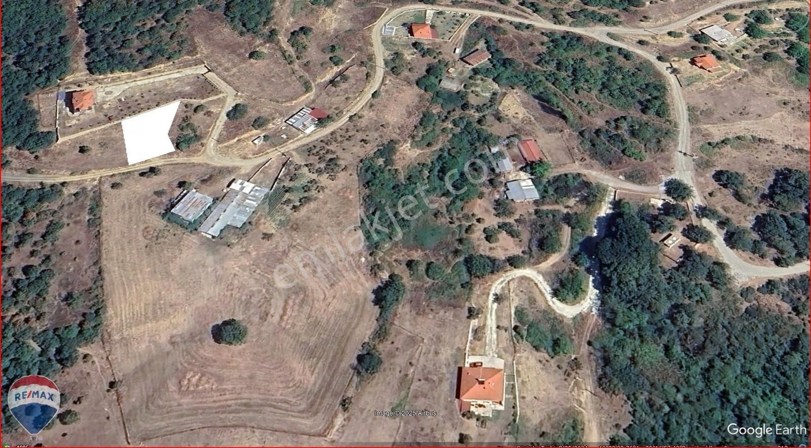Oksijen Deposu Dağ Köyünde Sağlıklı Yaşama Merhaba Deyin - Görsel 4