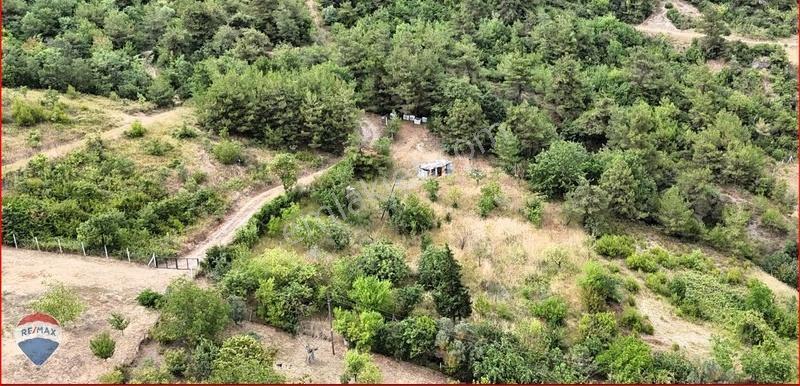 Oksijen Deposu Dağ Köyünde Sağlıklı Yaşama Merhaba Deyin - Görsel 5