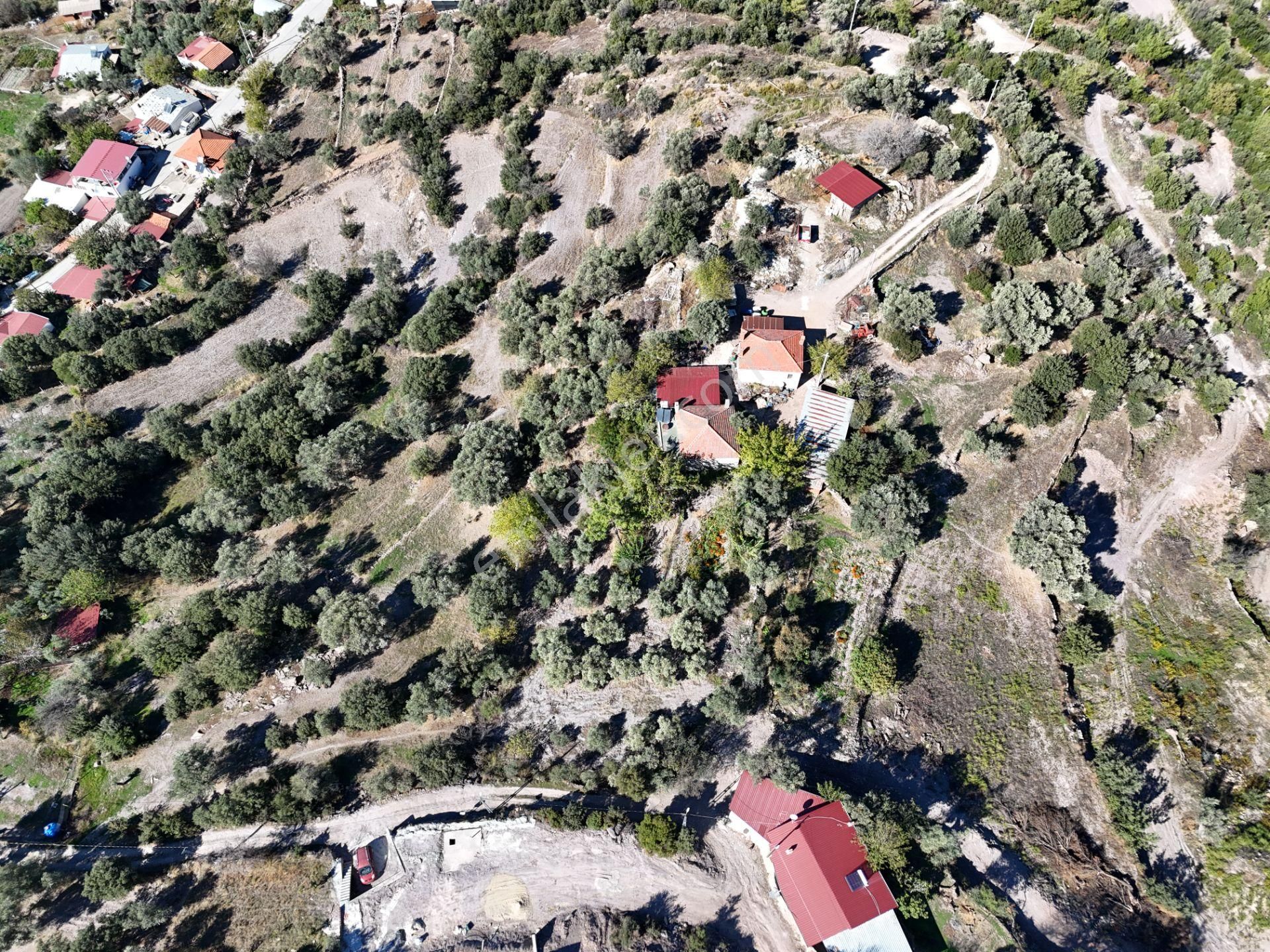 Milas Hasanlar’da 2.266 M² 2 Katlı Kargir Ev + Tarla (yatırıma Uygun, Bölünebilir) - Görsel 15