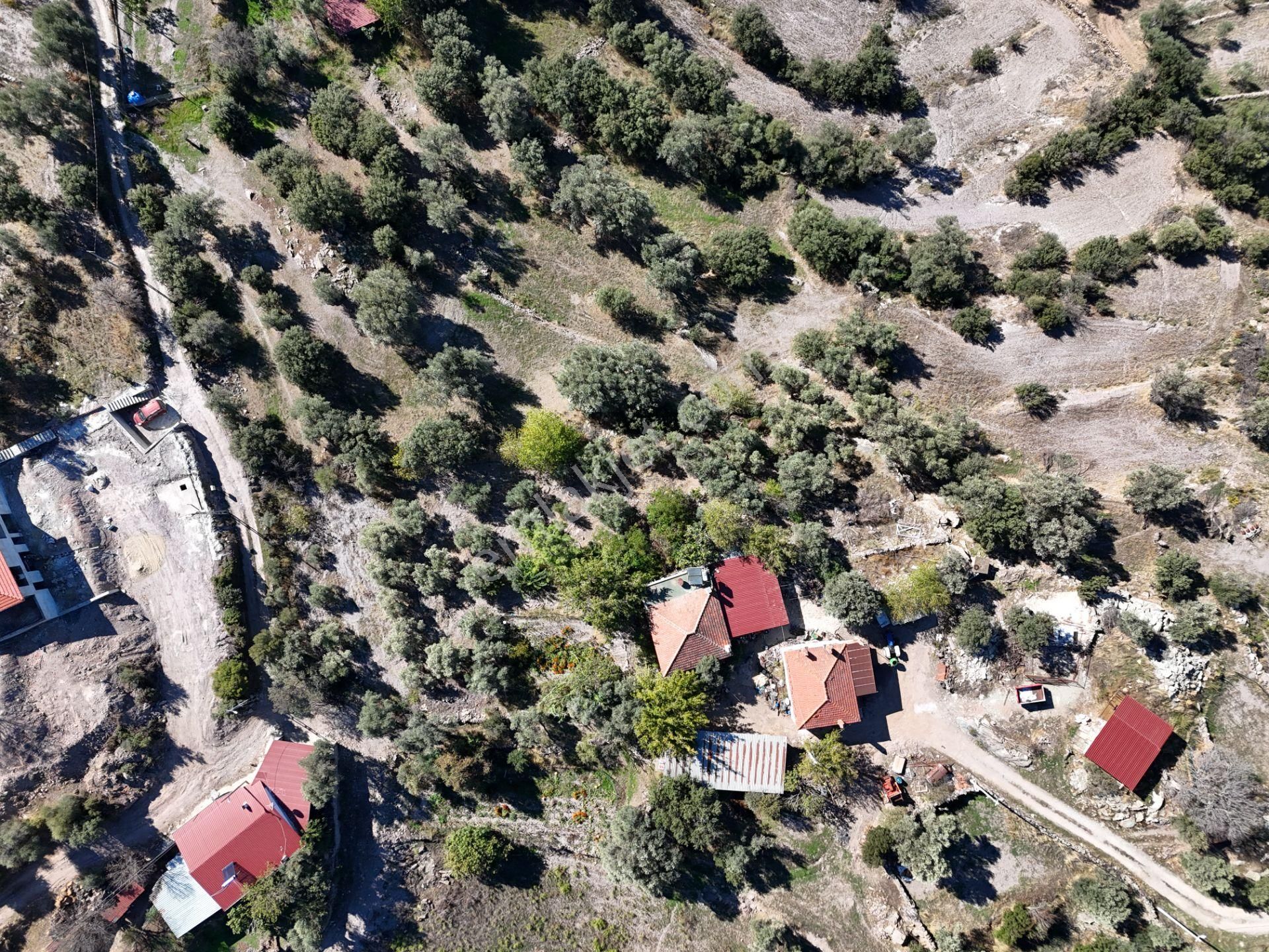 Milas Hasanlar’da 2.266 M² 2 Katlı Kargir Ev + Tarla (yatırıma Uygun, Bölünebilir) - Görsel 16