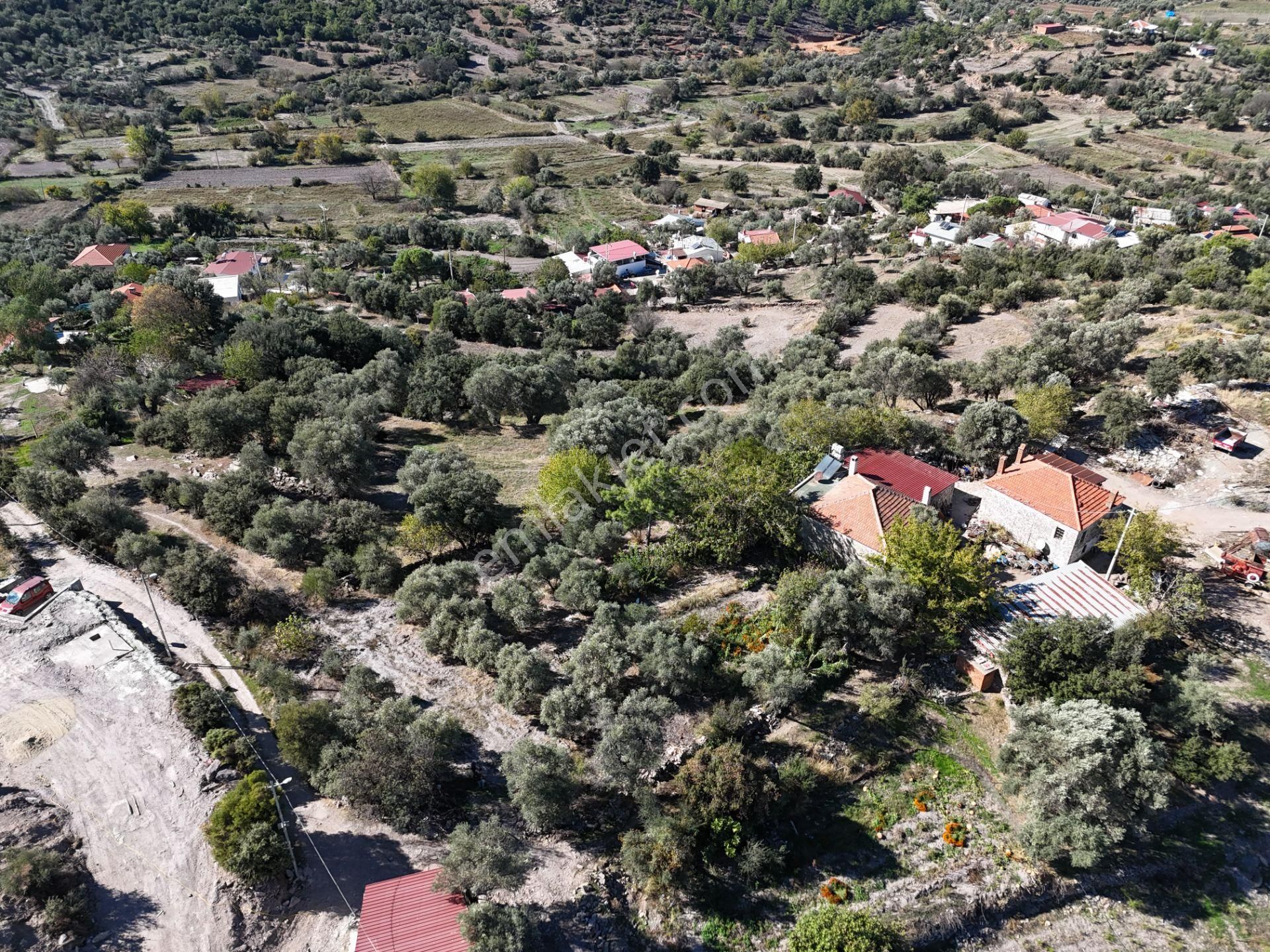 Milas Hasanlar’da 2.266 M² 2 Katlı Kargir Ev + Tarla (yatırıma Uygun, Bölünebilir) - Görsel 19