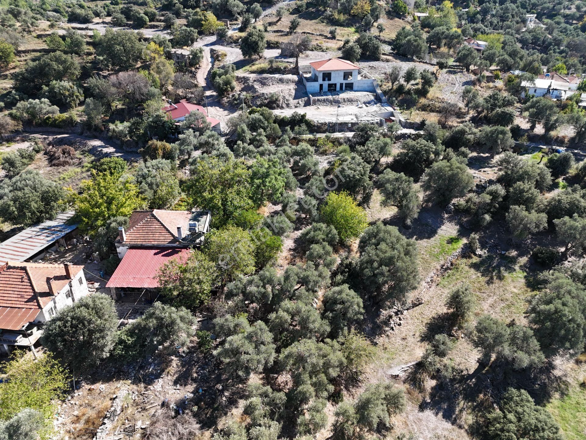 Milas Hasanlar’da 2.266 M² 2 Katlı Kargir Ev + Tarla (yatırıma Uygun, Bölünebilir) - Görsel 11