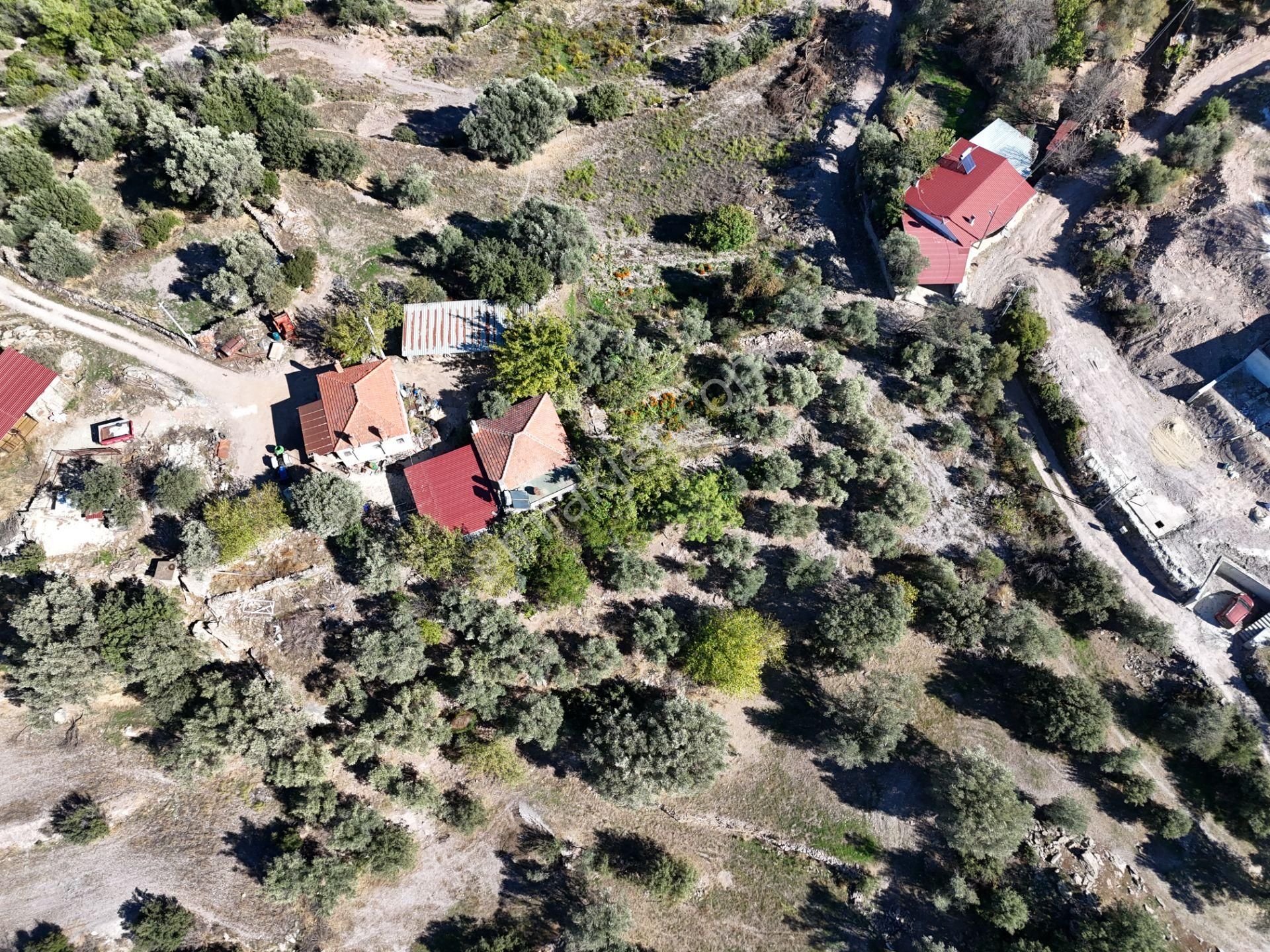 Milas Hasanlar’da 2.266 M² 2 Katlı Kargir Ev + Tarla (yatırıma Uygun, Bölünebilir) - Görsel 18