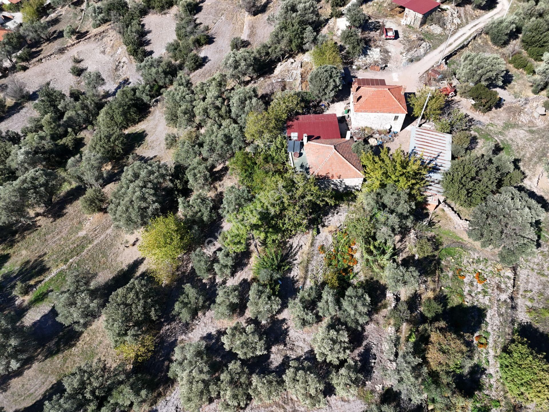 Milas Hasanlar’da 2.266 M² 2 Katlı Kargir Ev + Tarla (yatırıma Uygun, Bölünebilir) - Görsel 22