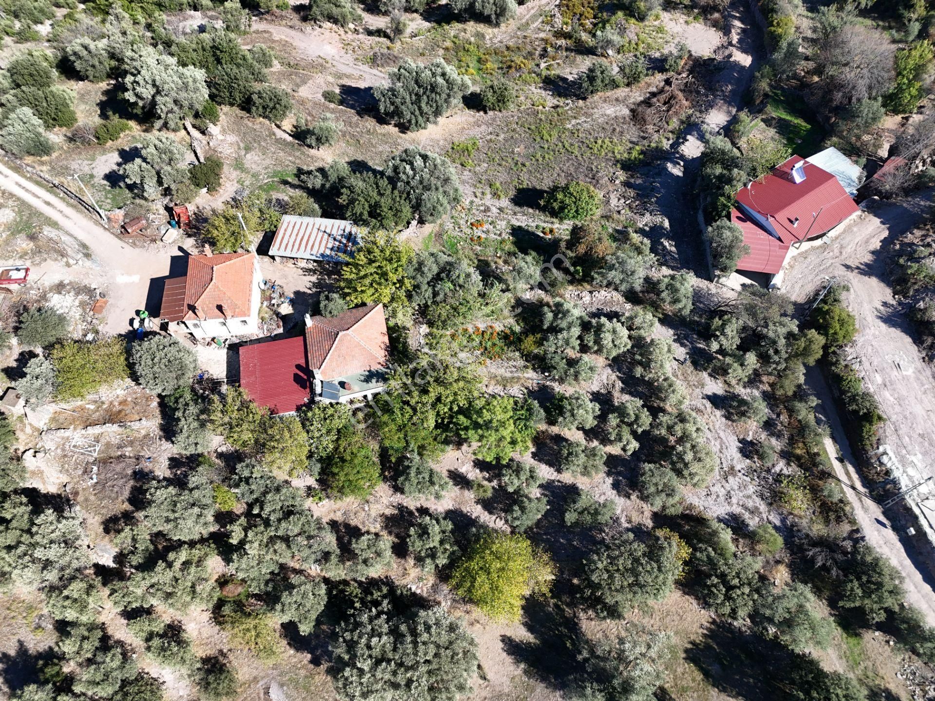 Milas Hasanlar’da 2.266 M² 2 Katlı Kargir Ev + Tarla (yatırıma Uygun, Bölünebilir) - Görsel 6