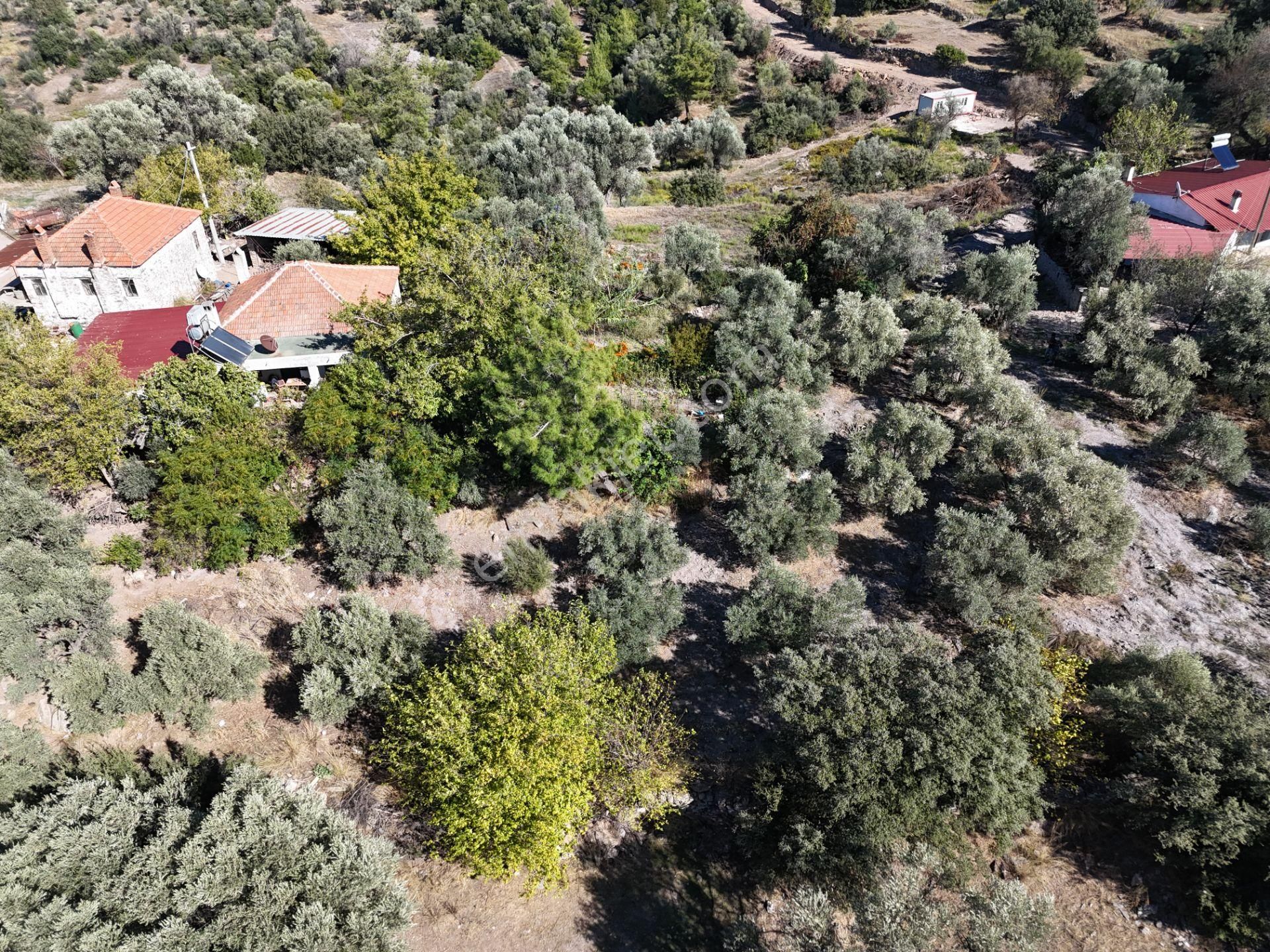 Milas Hasanlar’da 2.266 M² 2 Katlı Kargir Ev + Tarla (yatırıma Uygun, Bölünebilir) - Görsel 7