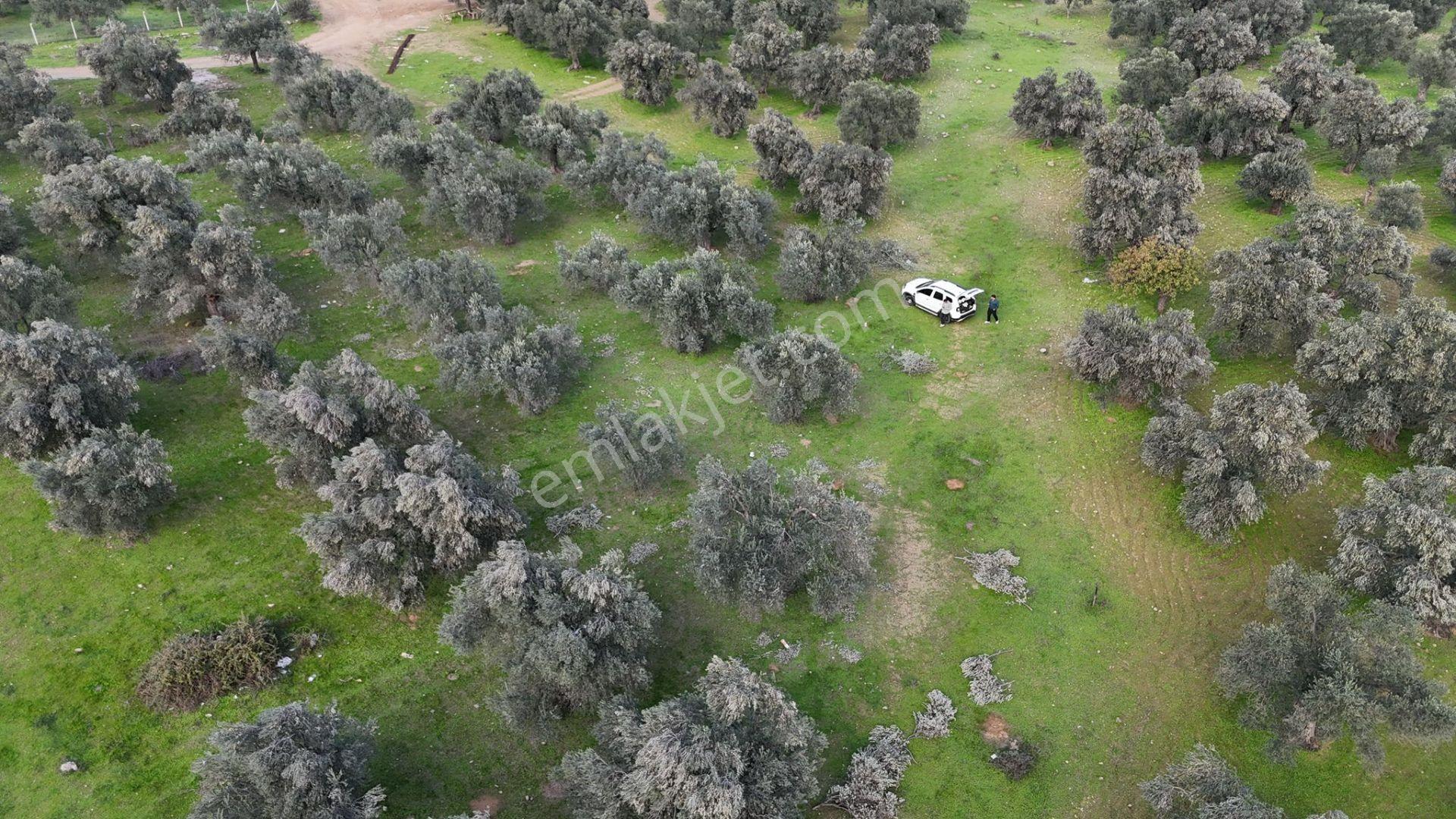 Başaran Emlak'tan Güre'de 390 M2 İmarlı Arsa - Görsel 17