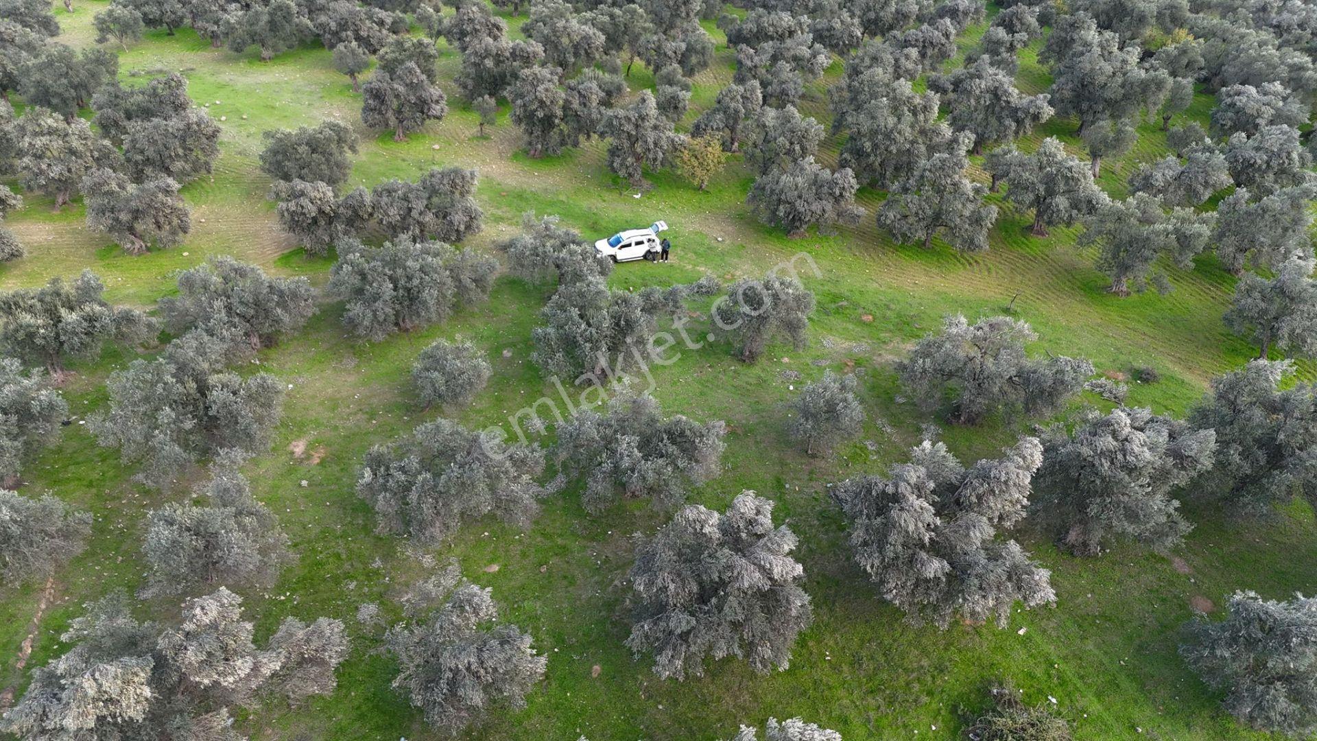 Başaran Emlak'tan Güre'de 390 M2 İmarlı Arsa - Görsel 16