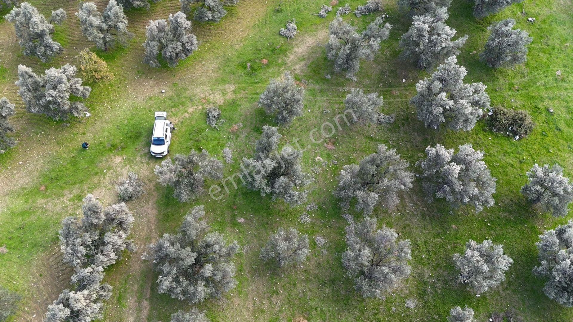 Başaran Emlak'tan Güre'de 390 M2 İmarlı Arsa - Görsel 21
