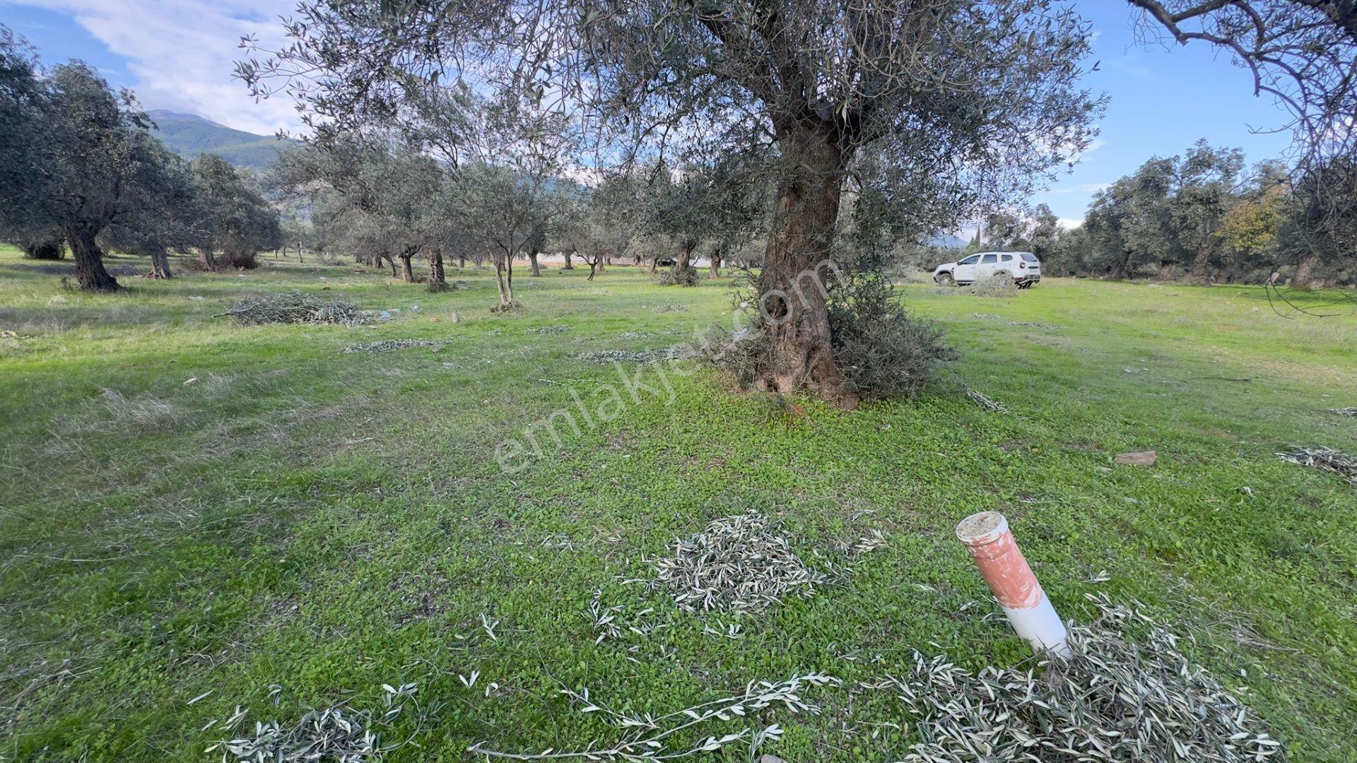 Başaran Emlak'tan Güre'de 390 M2 İmarlı Arsa - Görsel 4