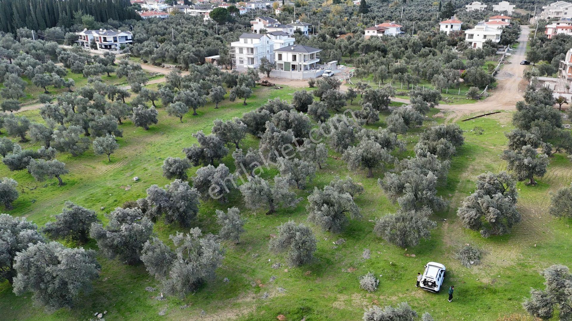 Başaran Emlak'tan Güre'de 390 M2 İmarlı Arsa - Görsel 6