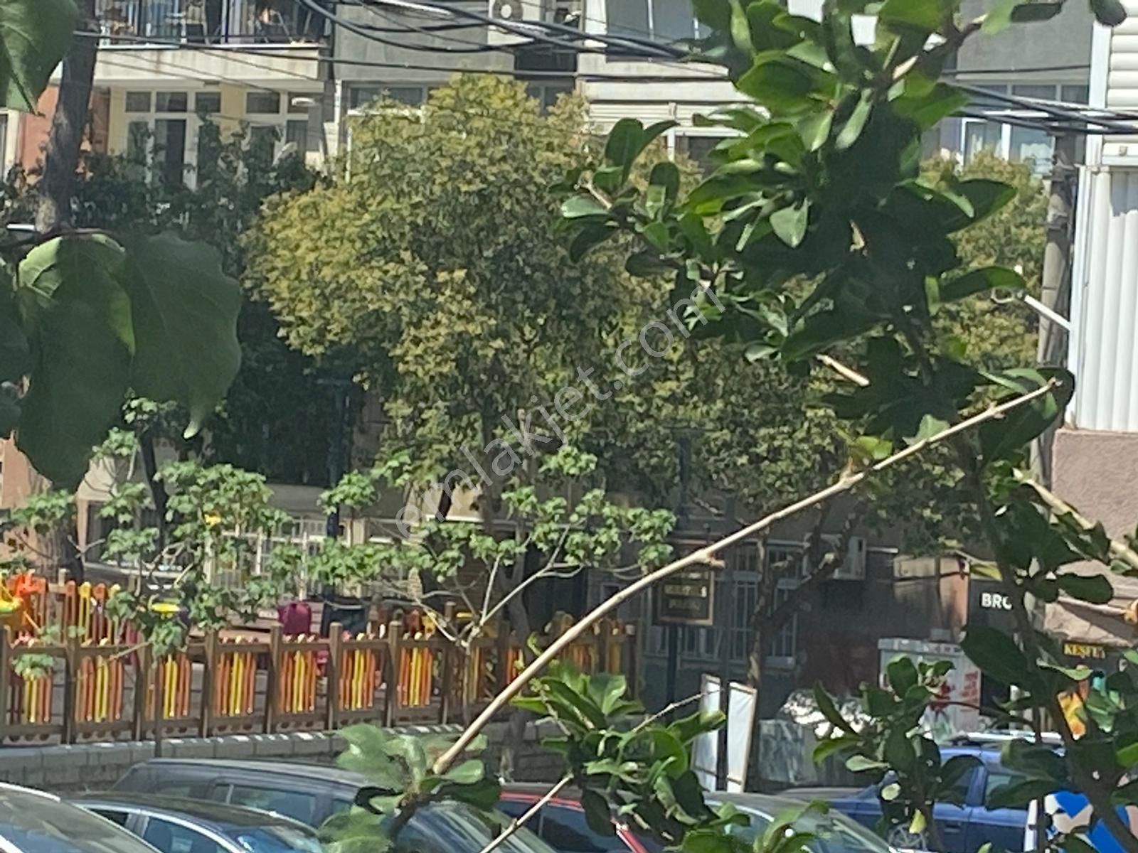 Hatay Pazaryeri Metro Yakını Kilimalı - Görsel 7