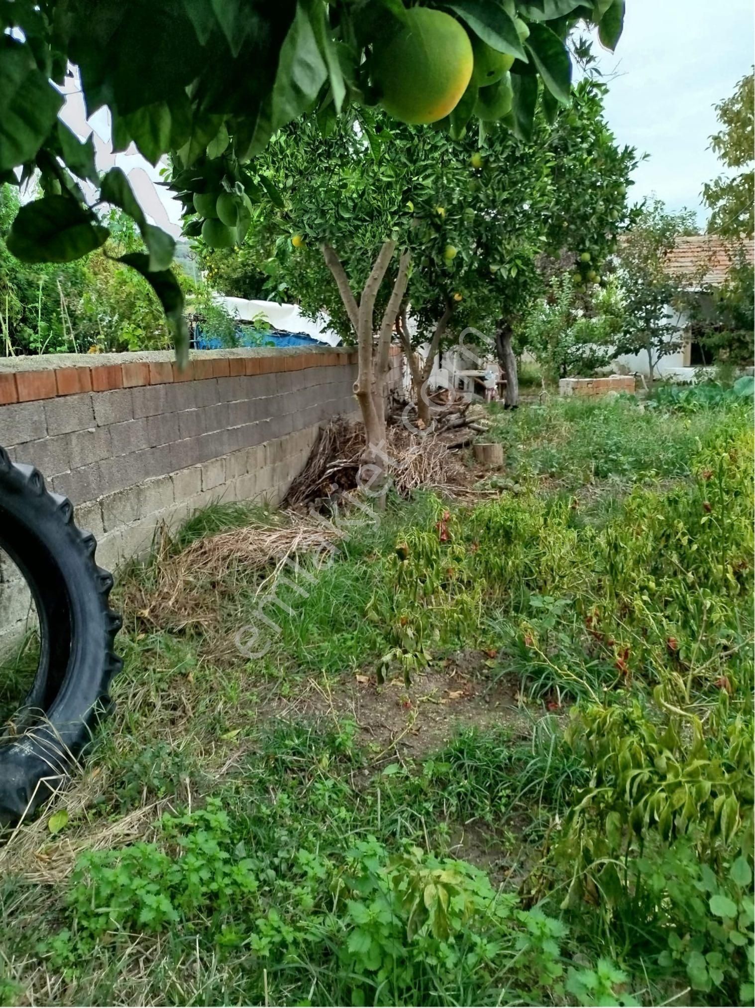 Aydın Söke Karacahayıt Mahallesin’de Şehir Hayatından Sıkılanlara Kurulu Düzen Köy Evi - Görsel 11