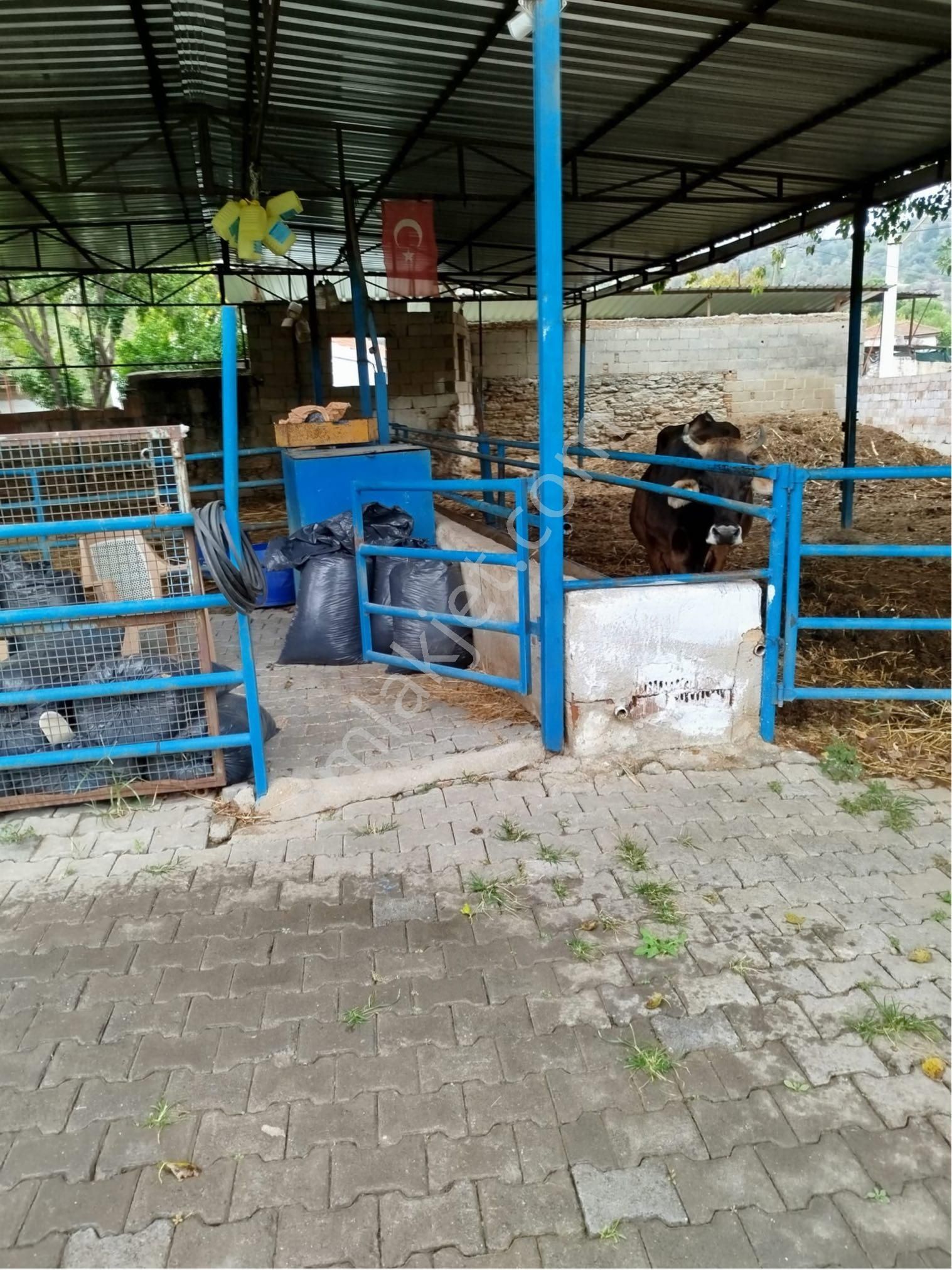 Aydın Söke Karacahayıt Mahallesin’de Şehir Hayatından Sıkılanlara Kurulu Düzen Köy Evi - Görsel 3