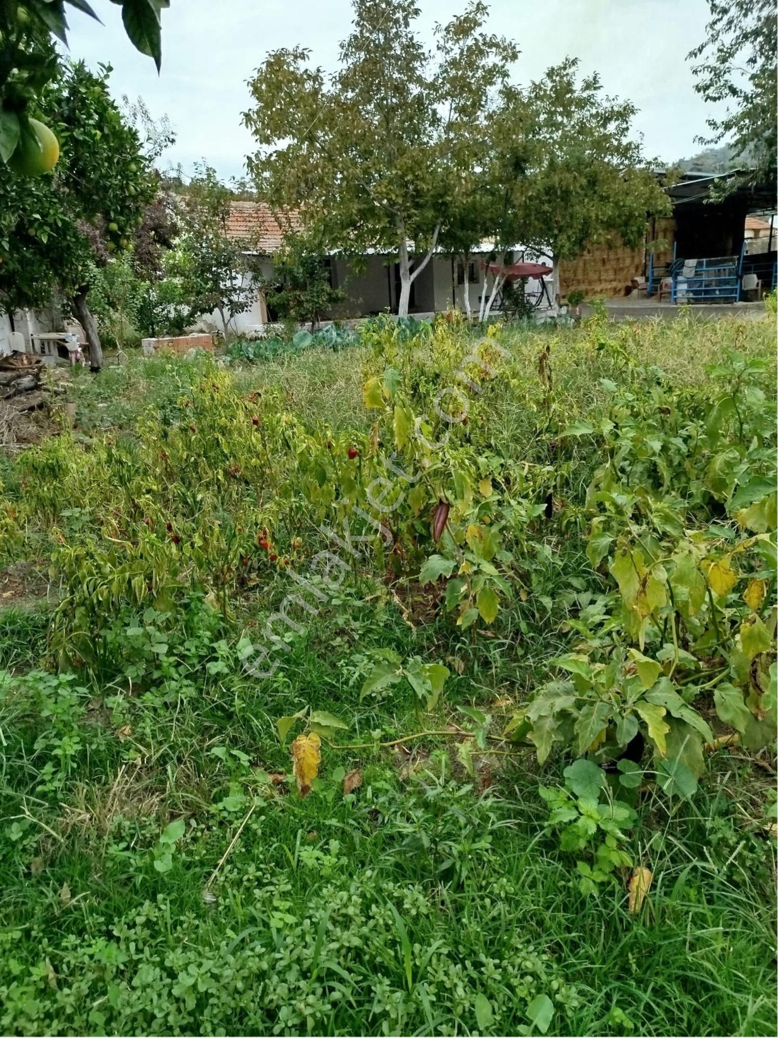 Aydın Söke Karacahayıt Mahallesin’de Şehir Hayatından Sıkılanlara Kurulu Düzen Köy Evi - Görsel 9