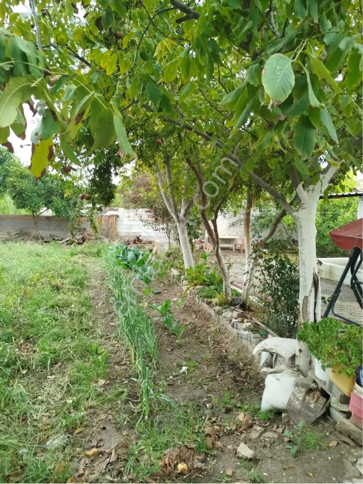 Aydın Söke Karacahayıt Mahallesin’de Şehir Hayatından Sıkılanlara Kurulu Düzen Köy Evi - Görsel 7