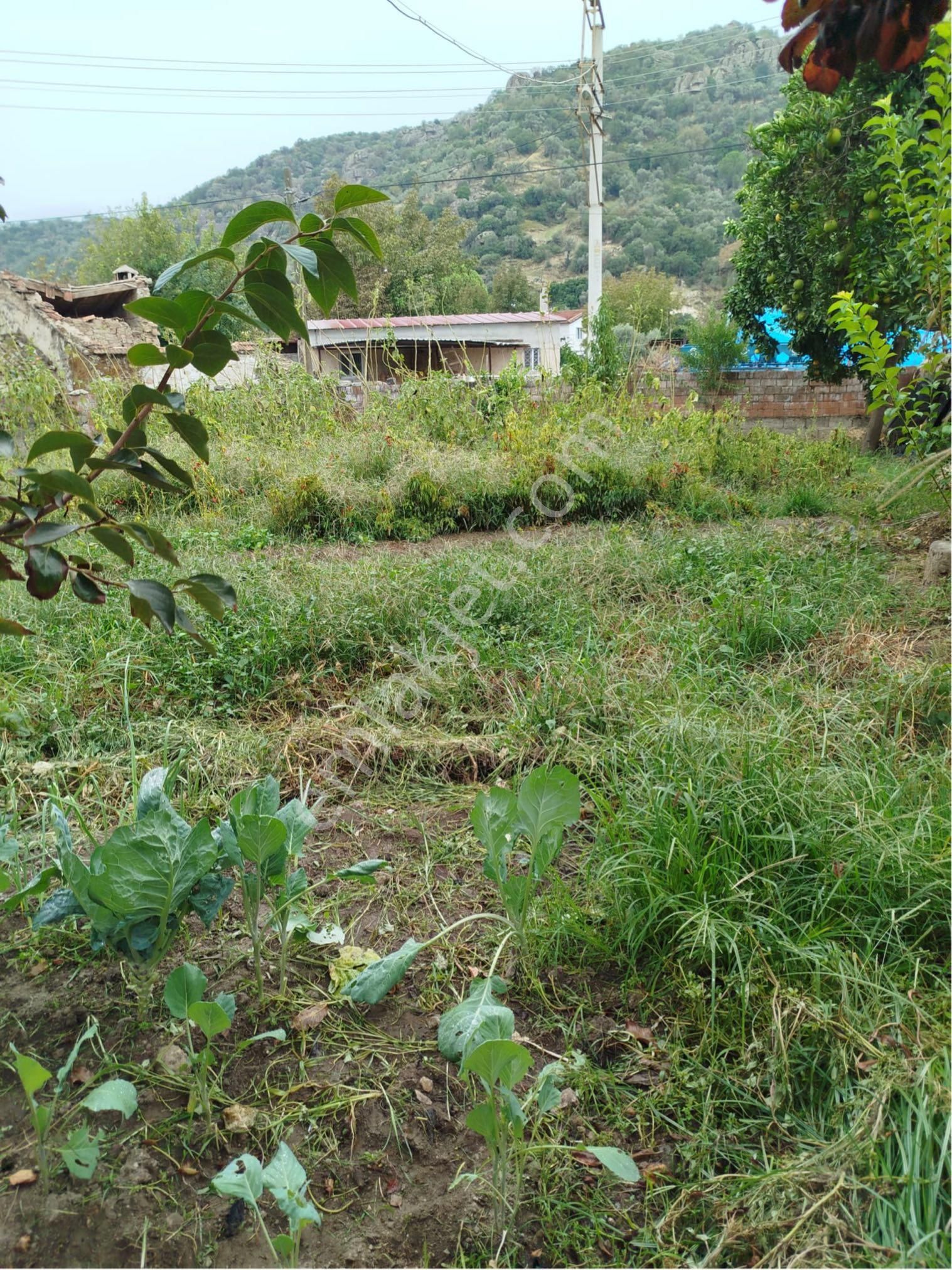 Aydın Söke Karacahayıt Mahallesin’de Şehir Hayatından Sıkılanlara Kurulu Düzen Köy Evi - Görsel 17