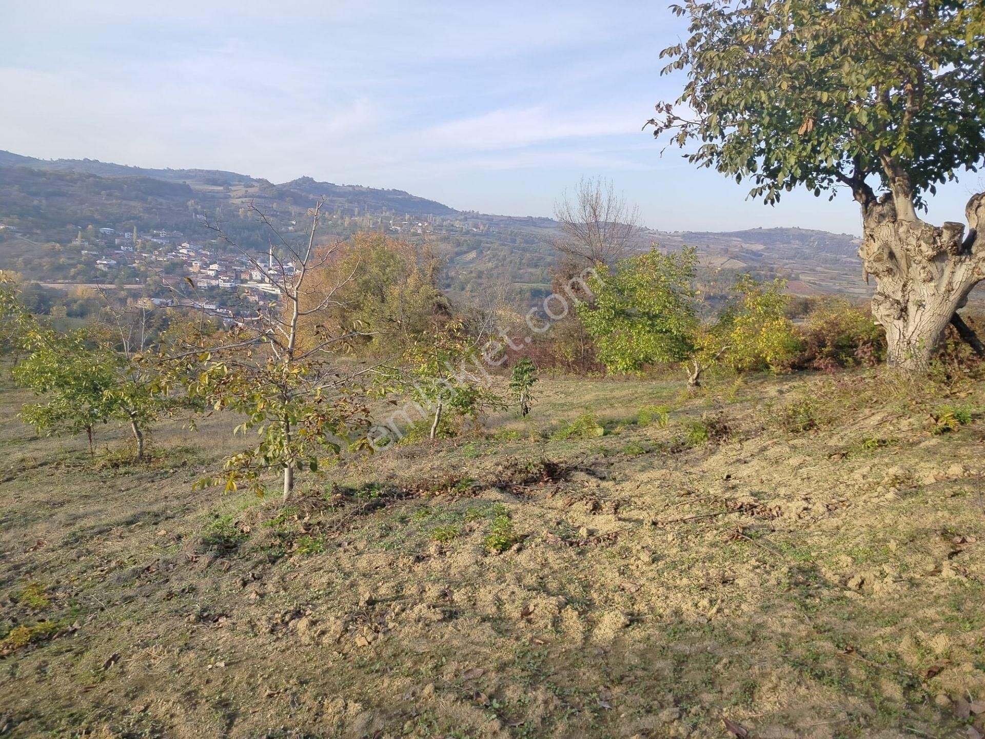 Tig Den Madenköy De Satılık Tarla