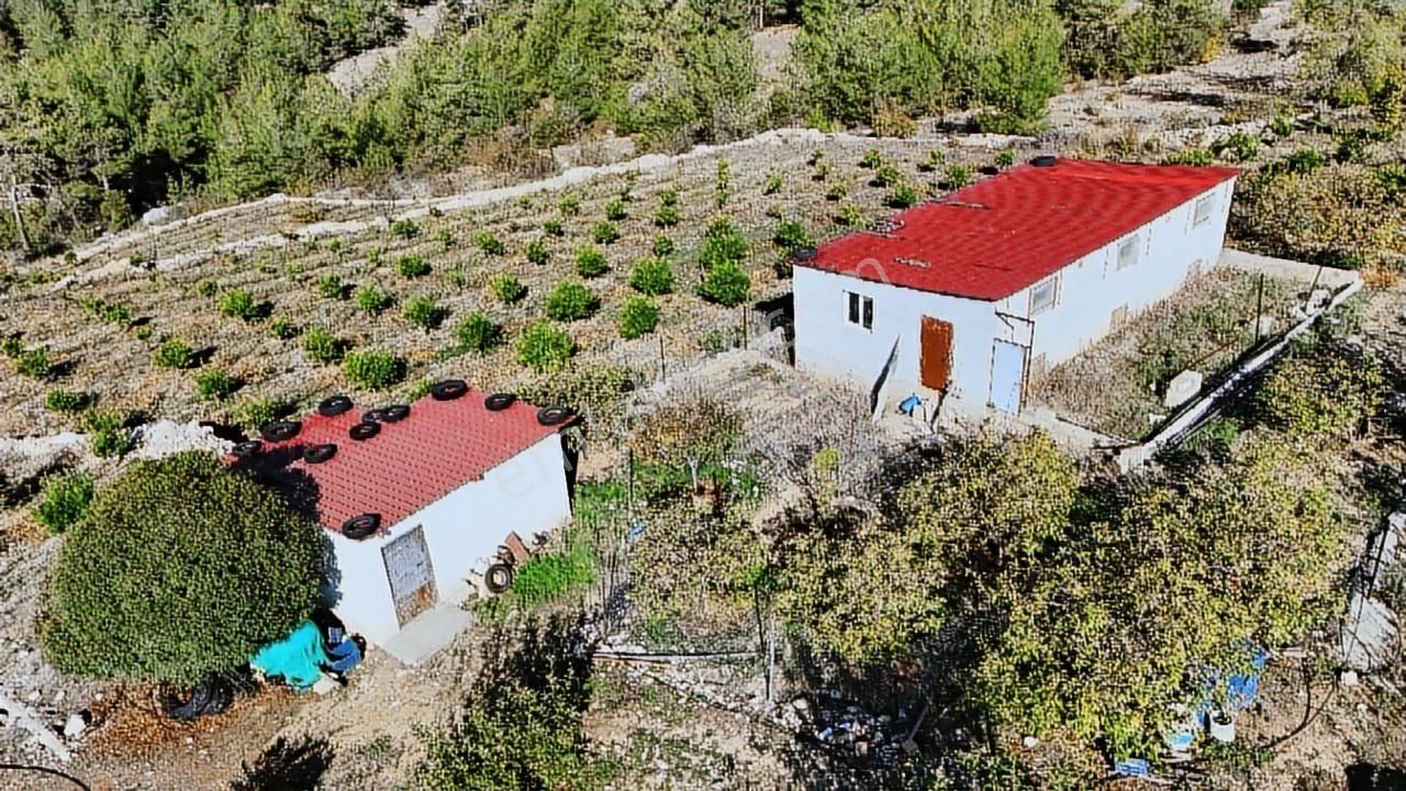 Thor'dan Erdemli Karayakup'ta 8.000 M² Satılık Limon Bahçesi! - Görsel 5