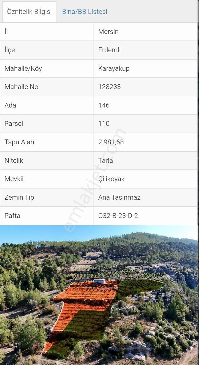 Thor'dan Erdemli Karayakup'ta 8.000 M² Satılık Limon Bahçesi! - Görsel 15