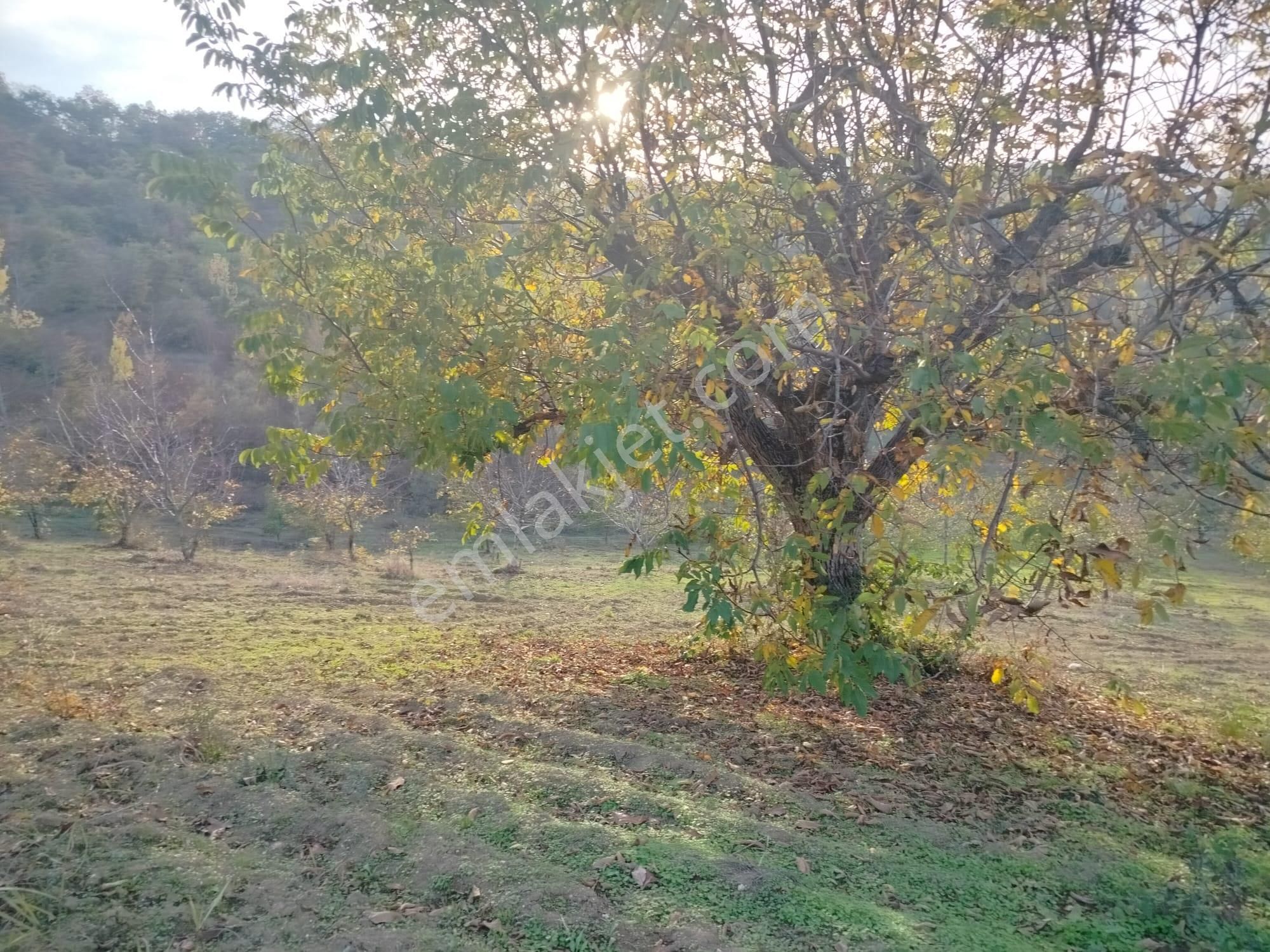 Tig Den Madenköy De Satılık Tarla