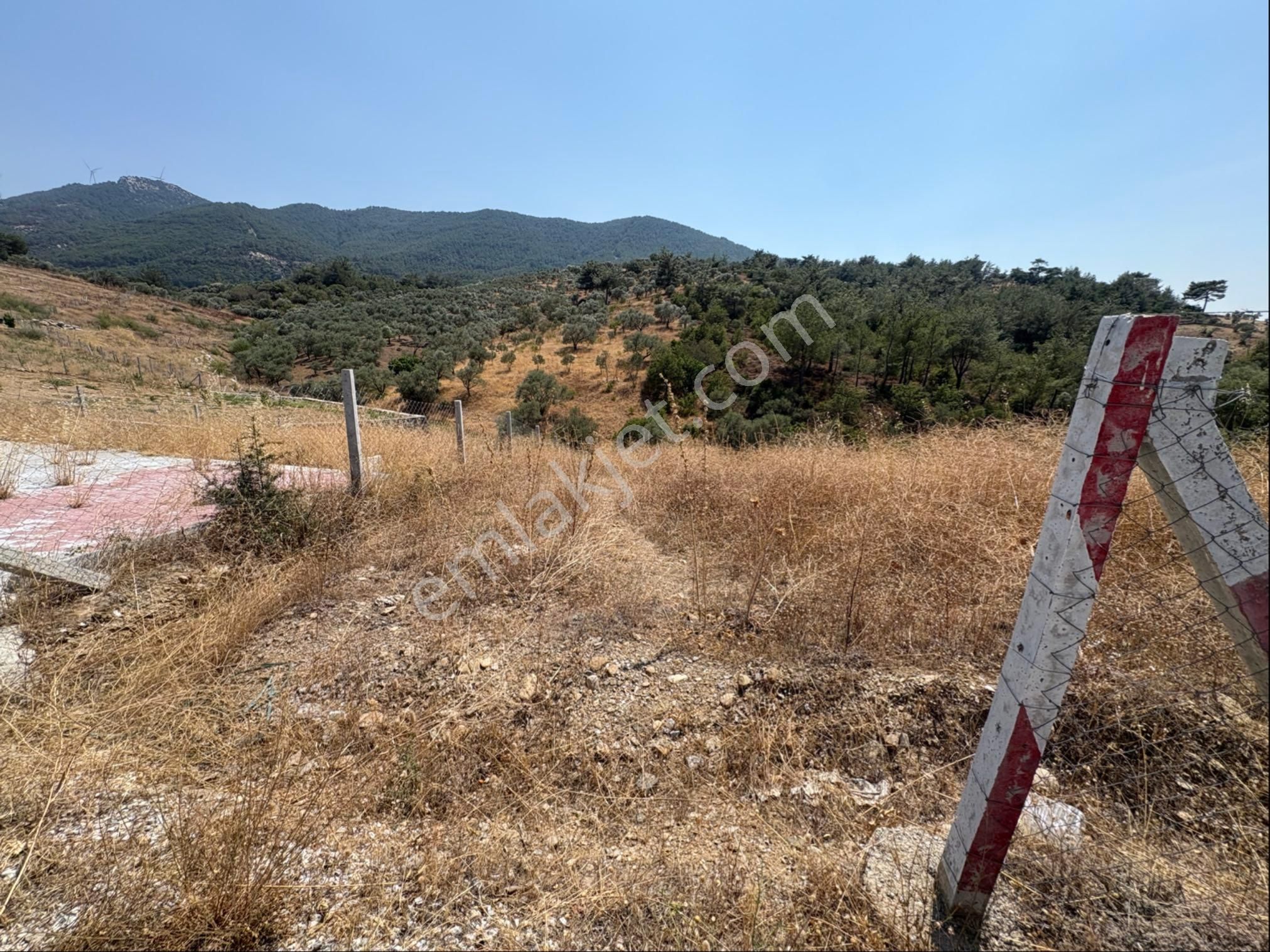 İzmir Kemalpaşa’da Fırsat Satılık Tarla - Görsel 13