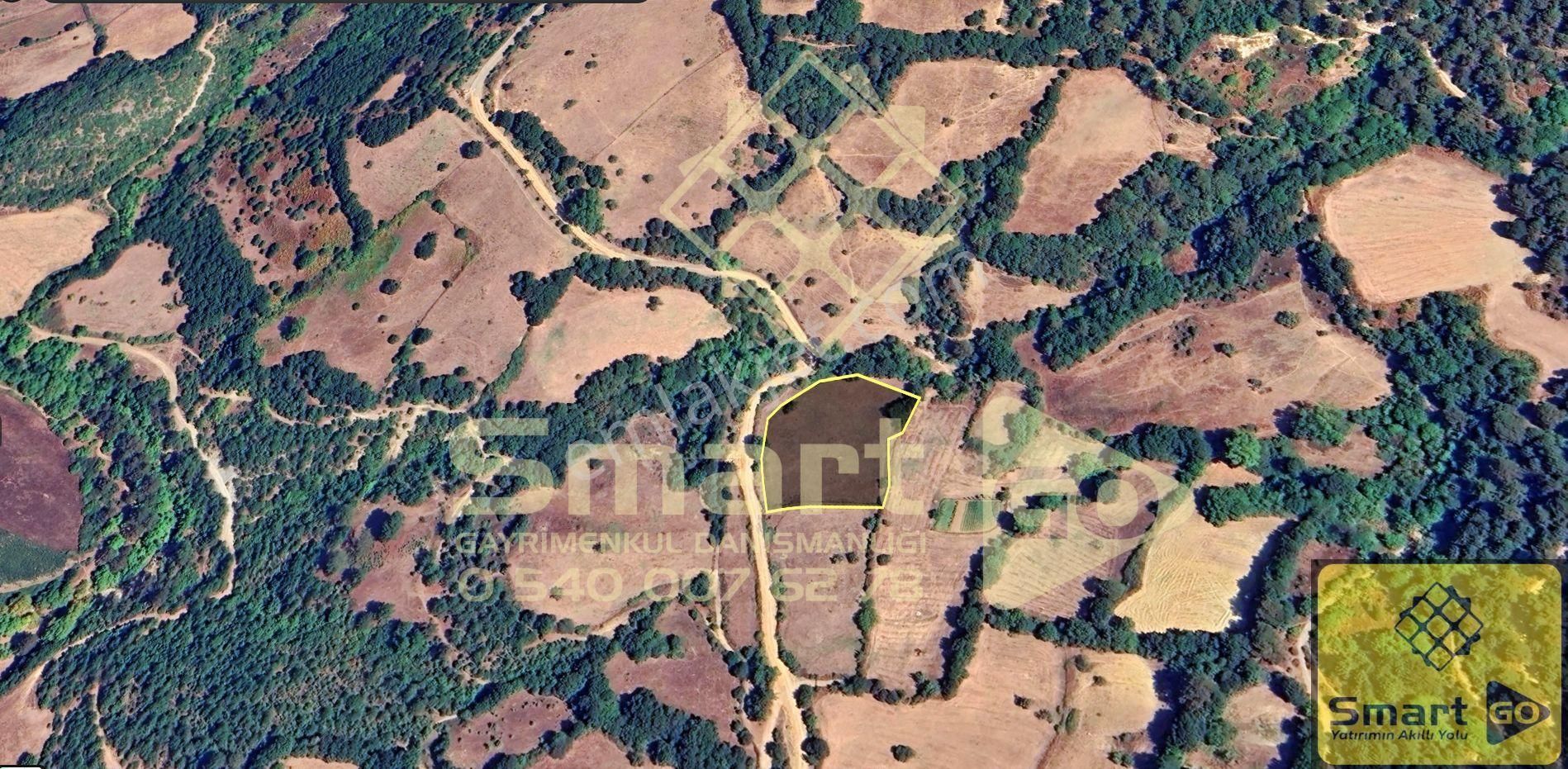 Yenice Ballıçay'da 4.416 M² Satılık Tarla - Görsel 3