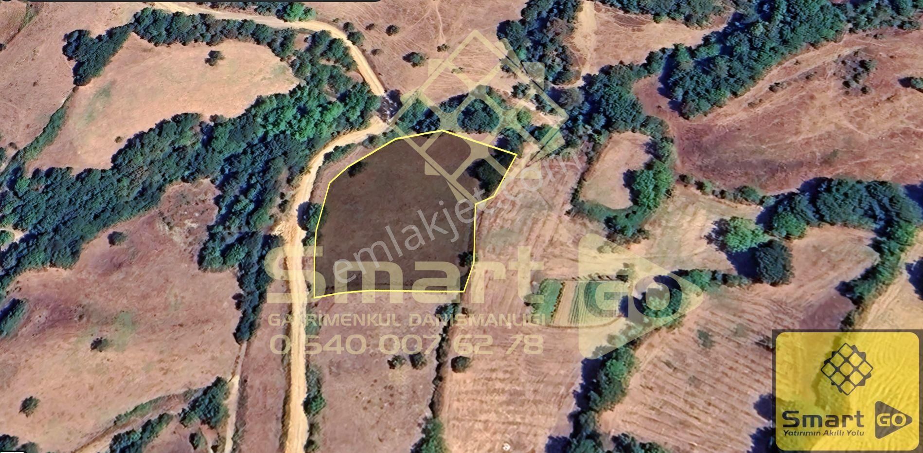 Yenice Ballıçay'da 4.416 M² Satılık Tarla - Görsel 27