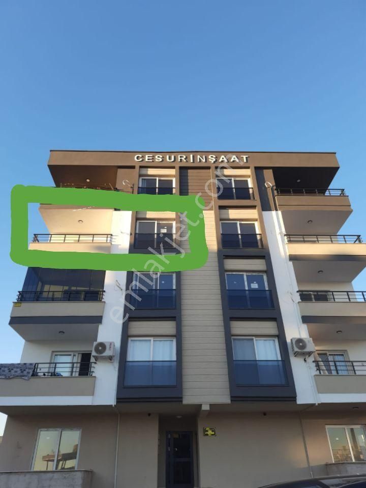 Saricalarda Lisenin Hemen Arkasında