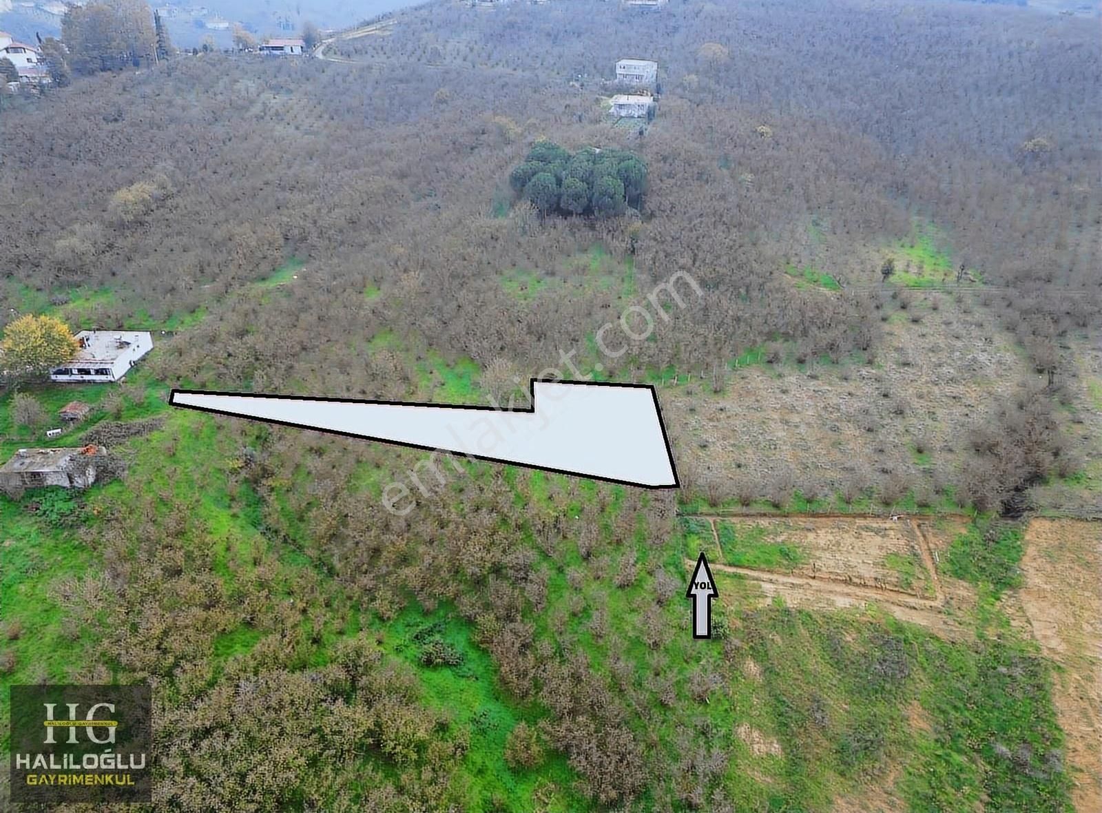 Haliloğlu Gayrimenkul 'den Satılık 687 M2 Tarla - Görsel 6