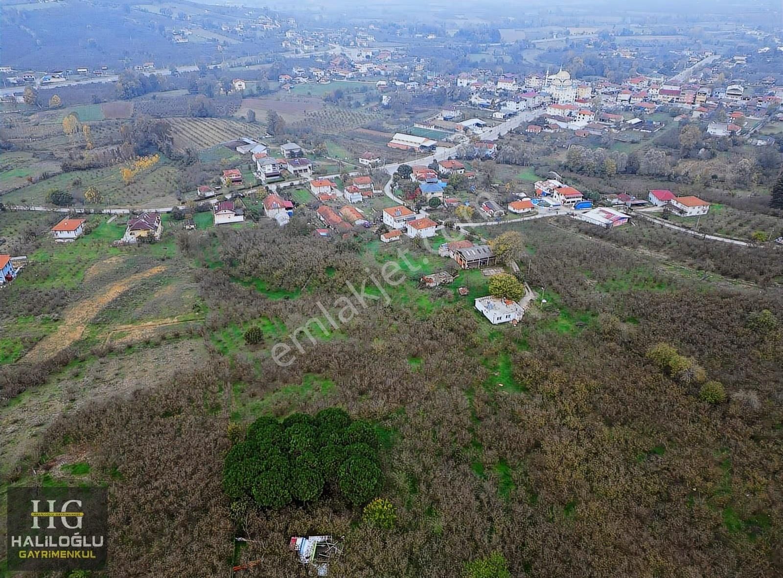 Haliloğlu Gayrimenkul 'den Satılık 687 M2 Tarla - Görsel 14