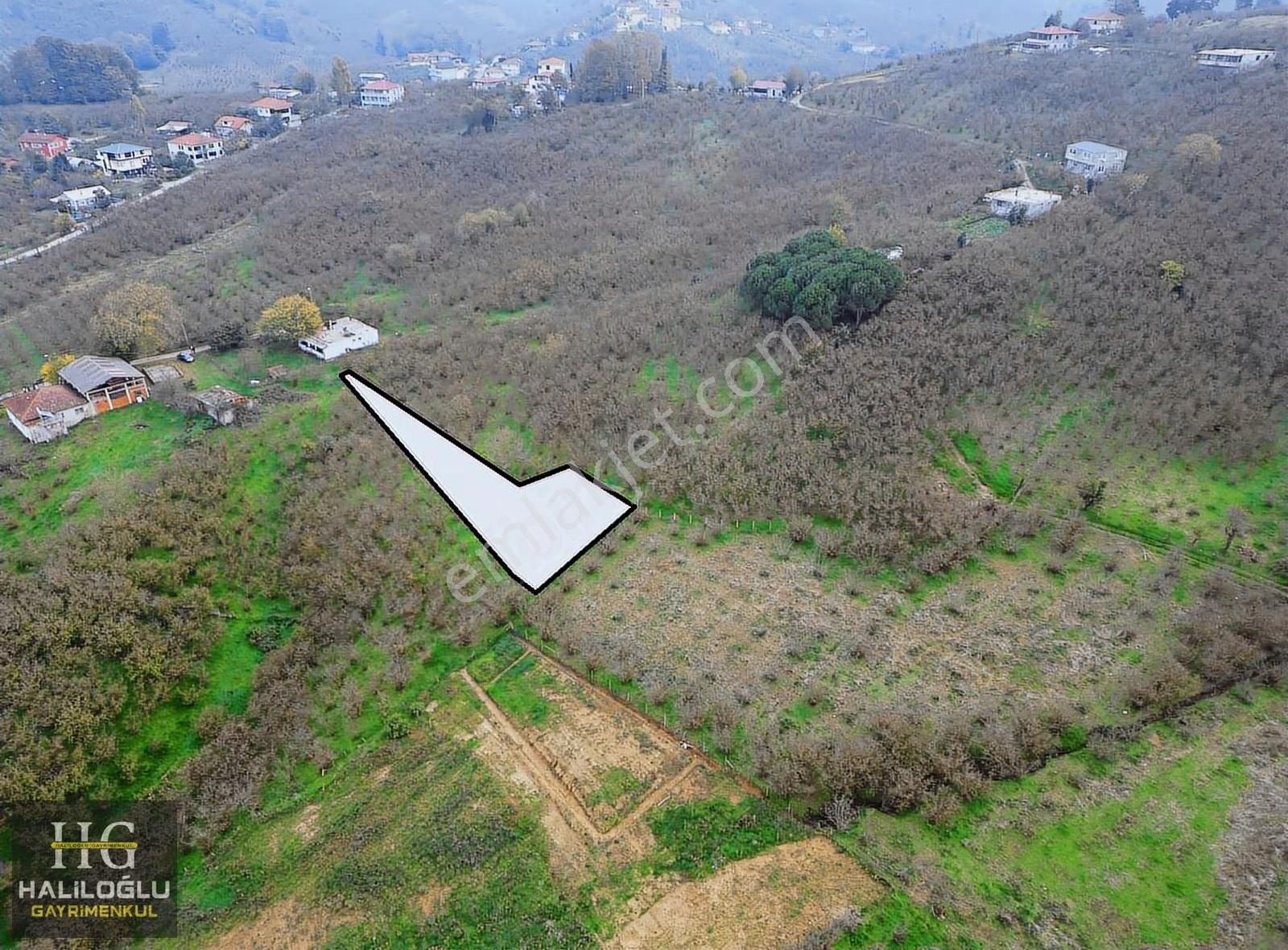 Haliloğlu Gayrimenkul 'den Satılık 687 M2 Tarla - Görsel 13