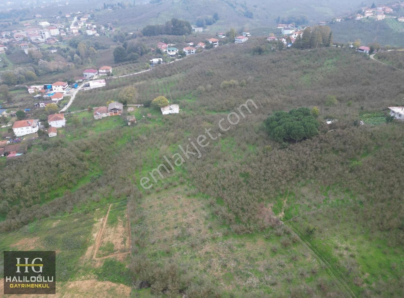 Haliloğlu Gayrimenkul 'den Satılık 687 M2 Tarla - Görsel 7