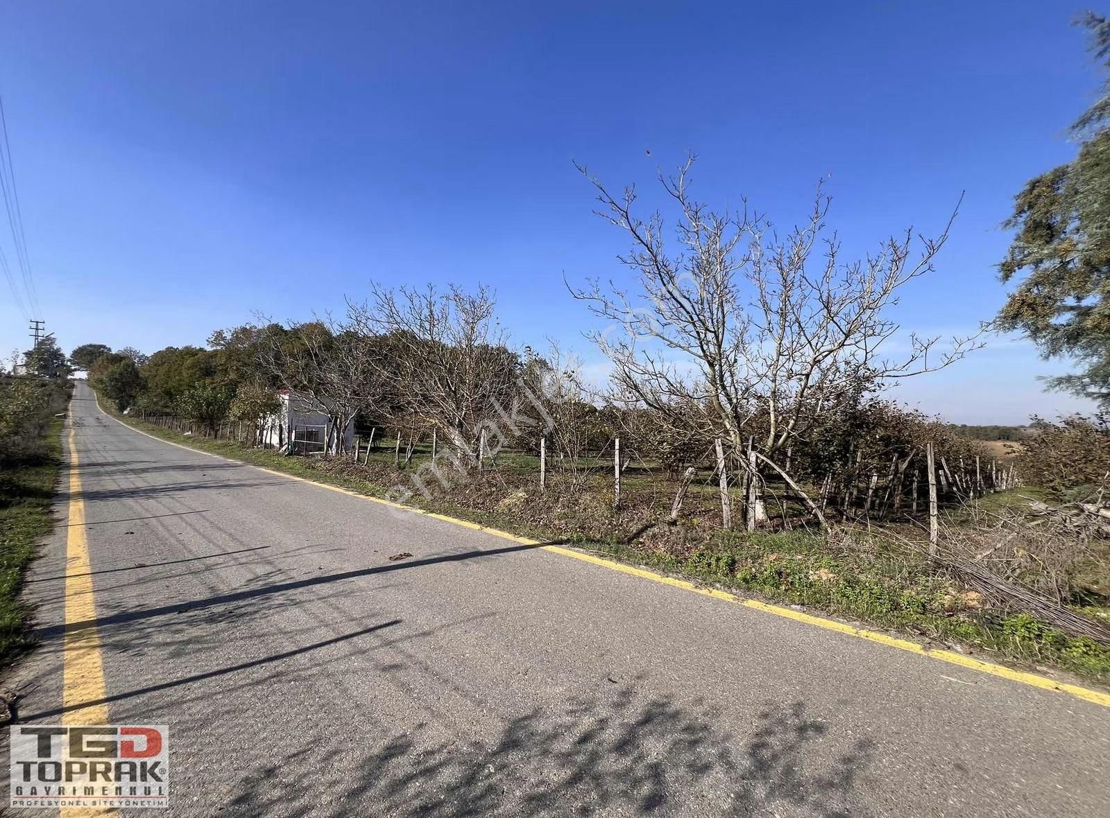 Karadavutlu Köyünde Yola Cephe 5935m² - Görsel 2